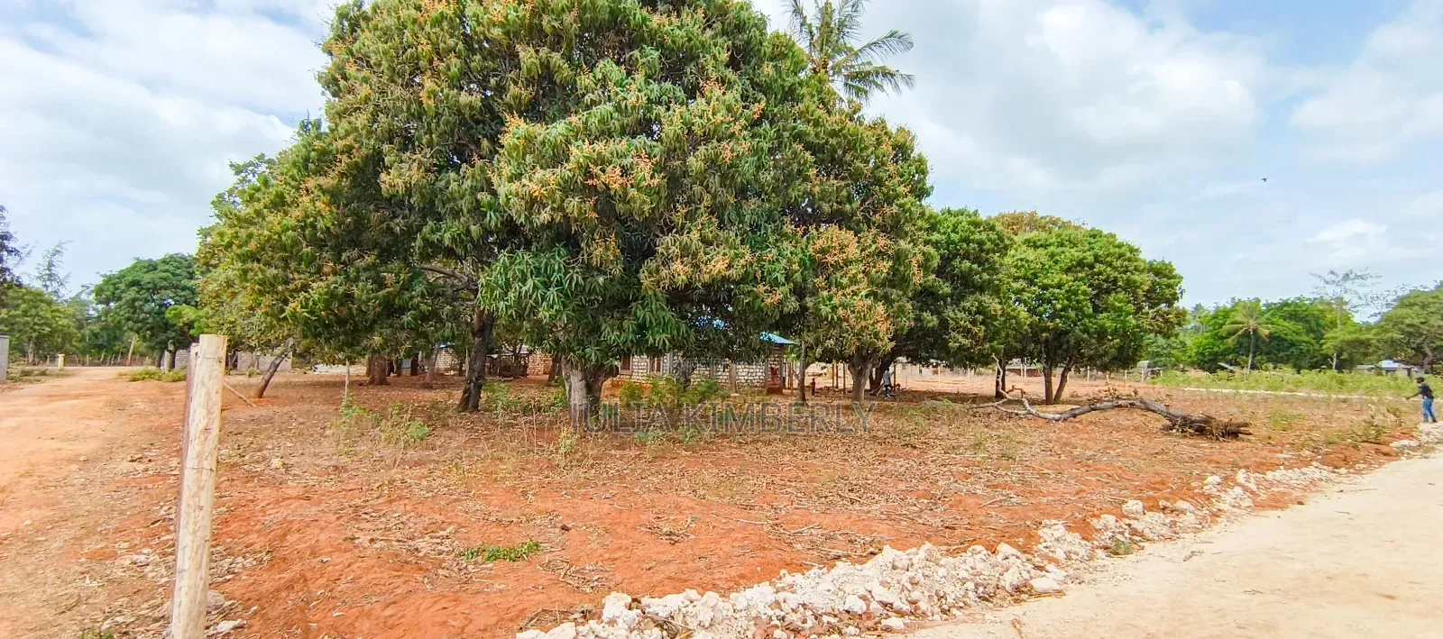 Affordable Bofa 50 by 100's in Kilifi North