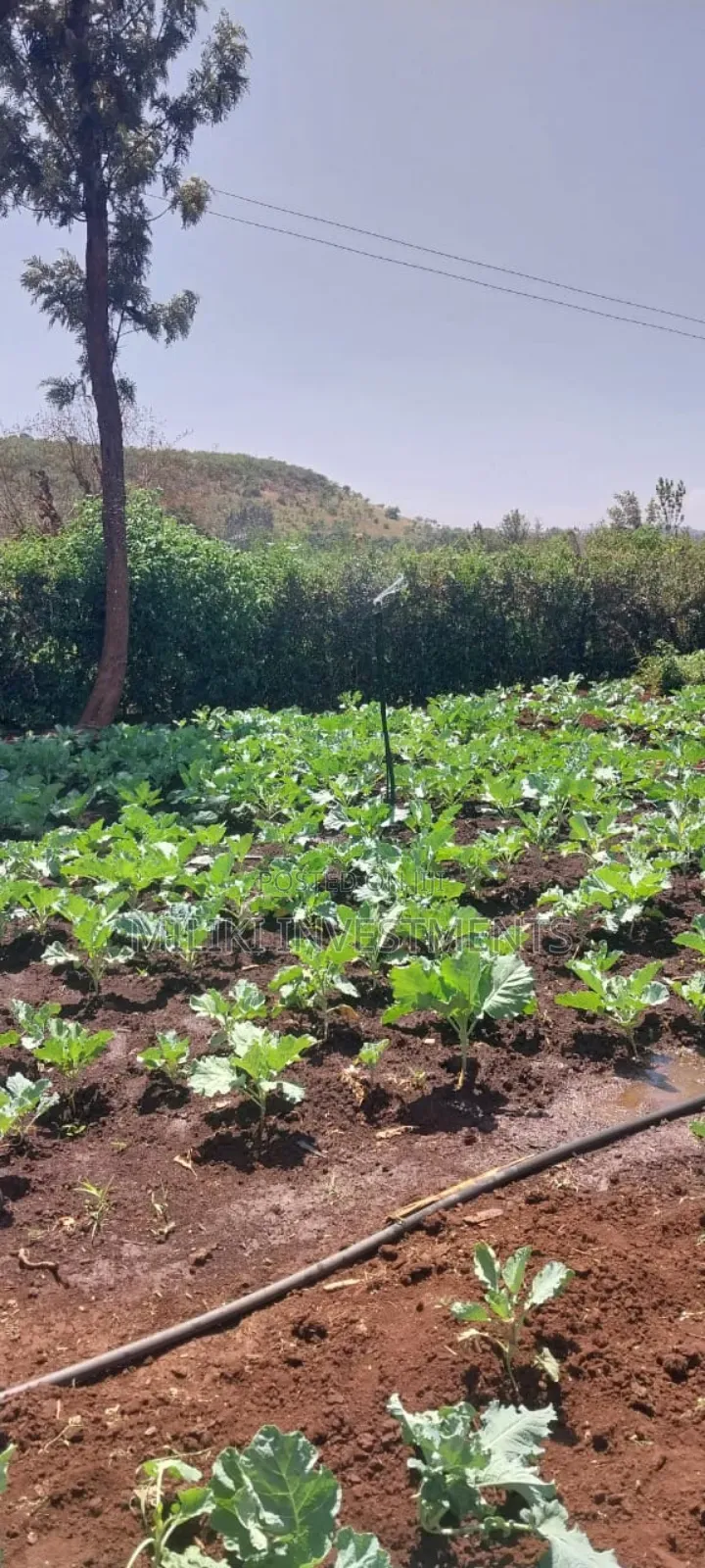 5.5 Acres on Sale at Kambirwa in Mbiri