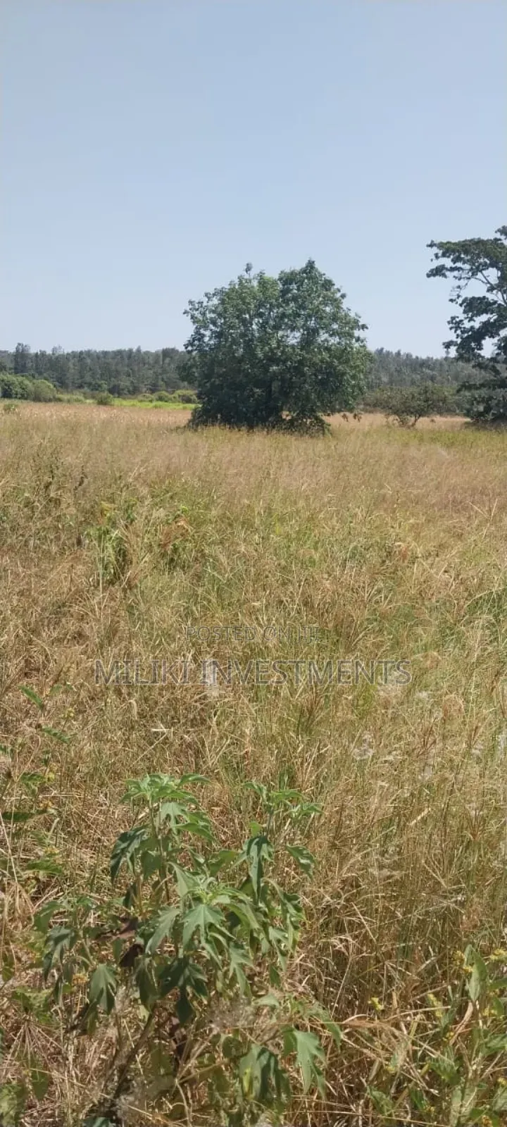 5.5 Acres on Sale at Kambirwa in Mbiri