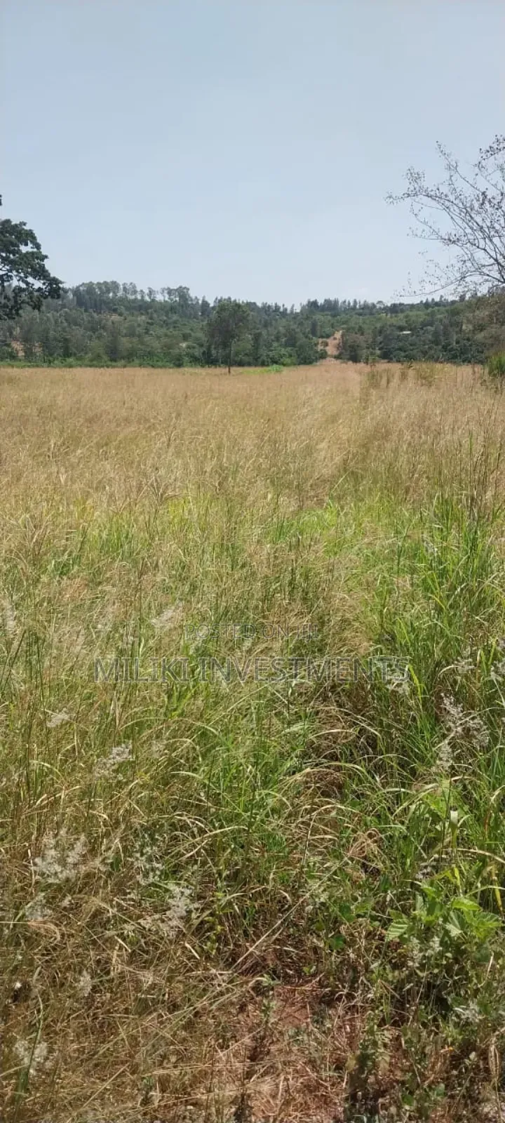 5.5 Acres on Sale at Kambirwa in Mbiri