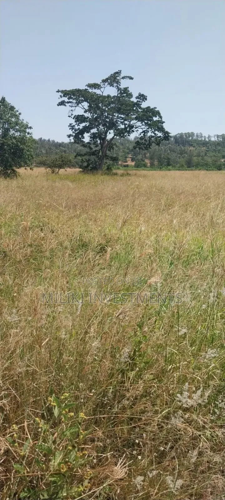 5.5 Acres on Sale at Kambirwa in Mbiri