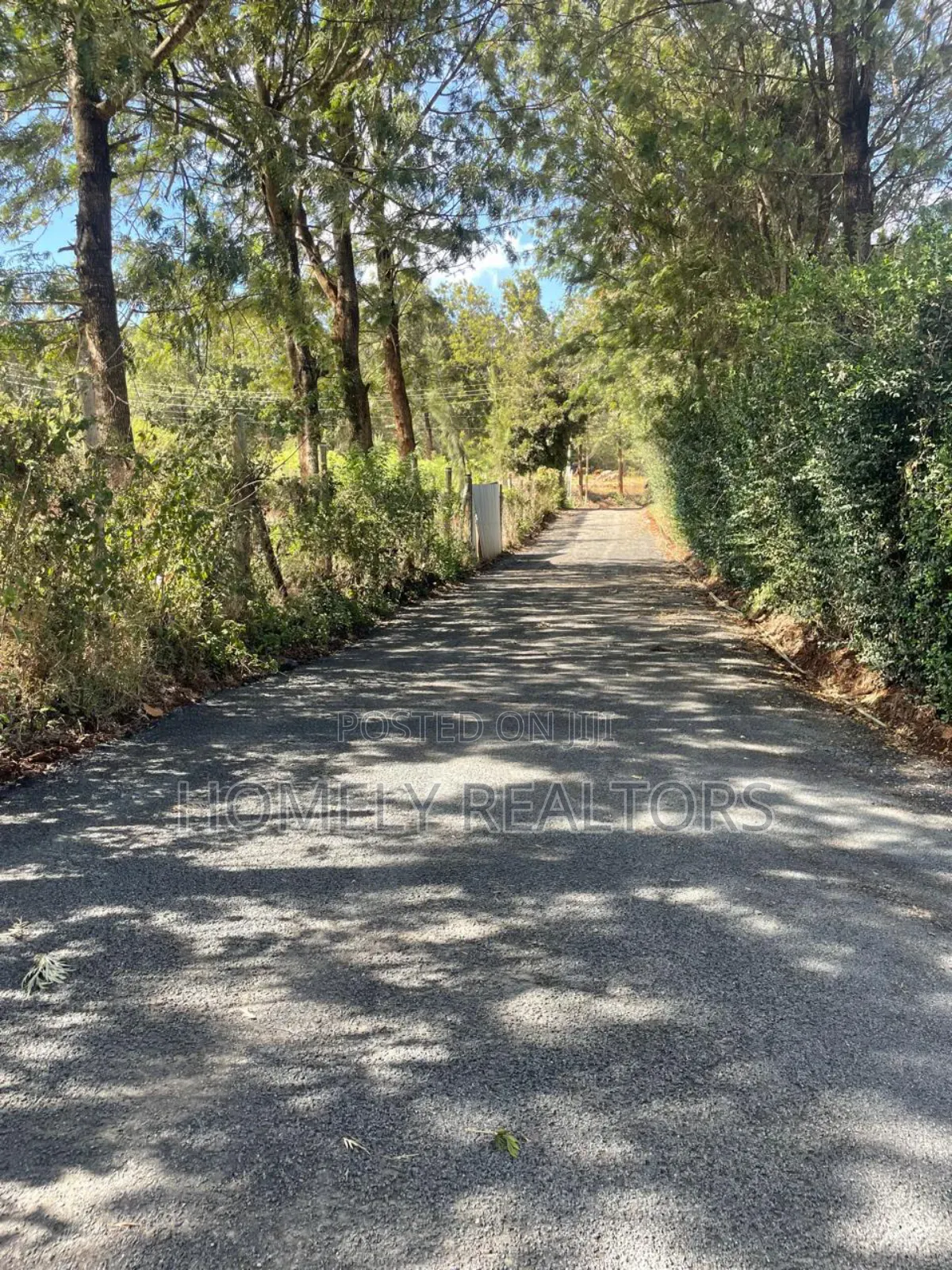 Quarter Acre Plot for Sale in Kerarapon Drive. Red Soil. Nice Views in Kerarapon
