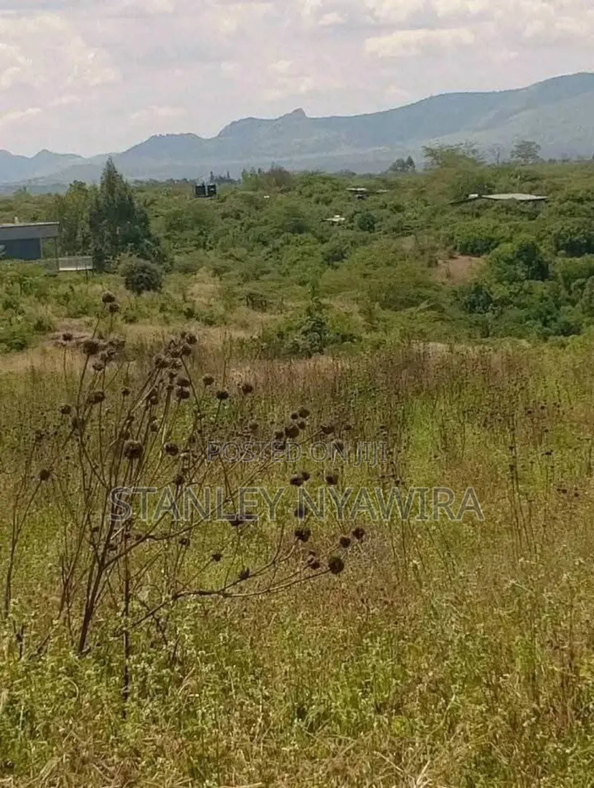 2 and Quarter Acre for Sale Nanyuki in Laikipia East