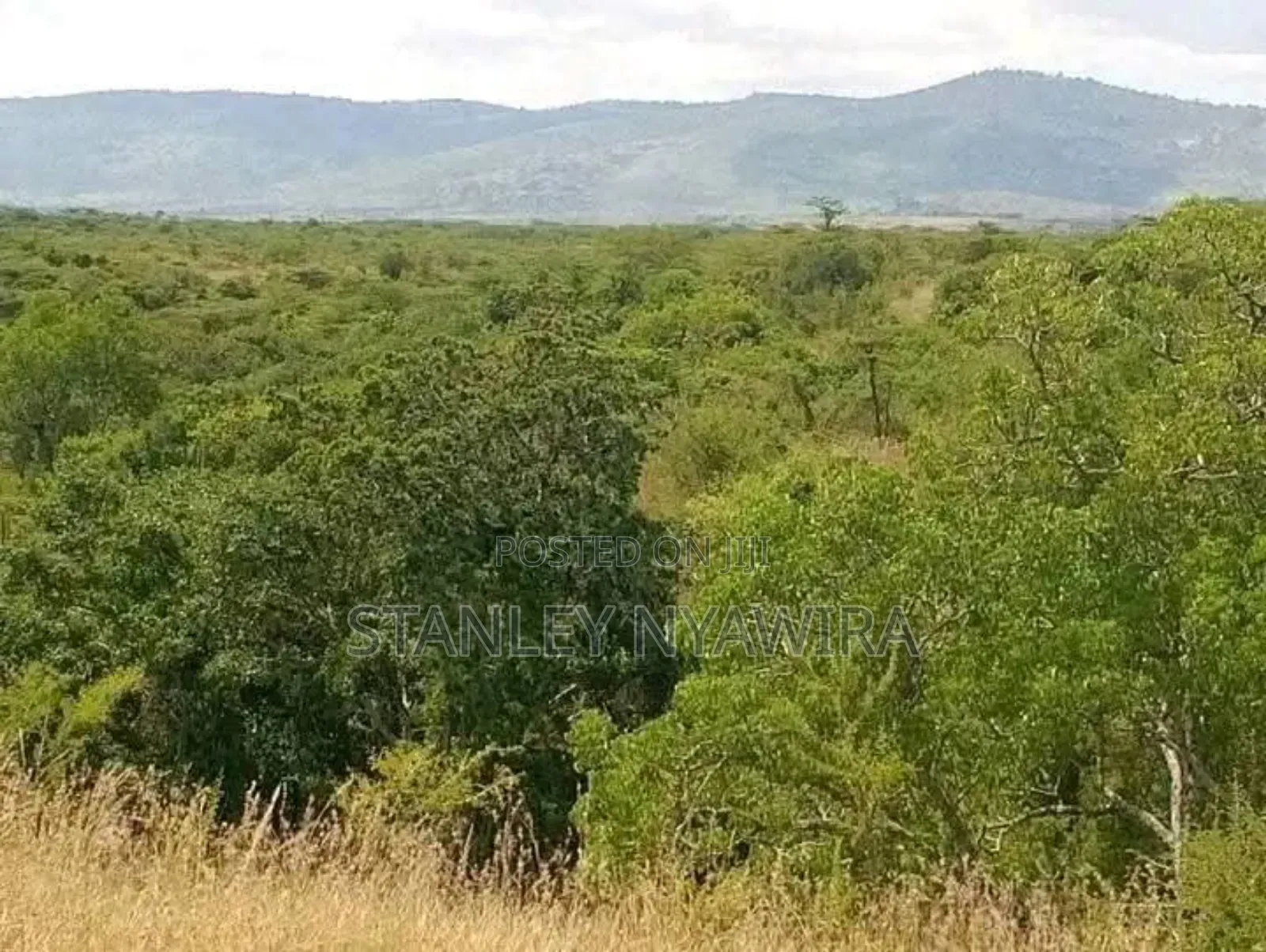 2 and Quarter Acre for Sale Nanyuki in Laikipia East