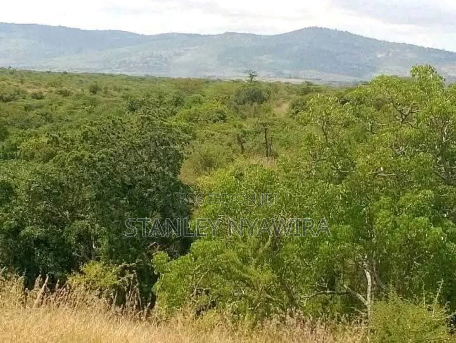 2 and Quarter Acre for Sale Nanyuki in Laikipia East