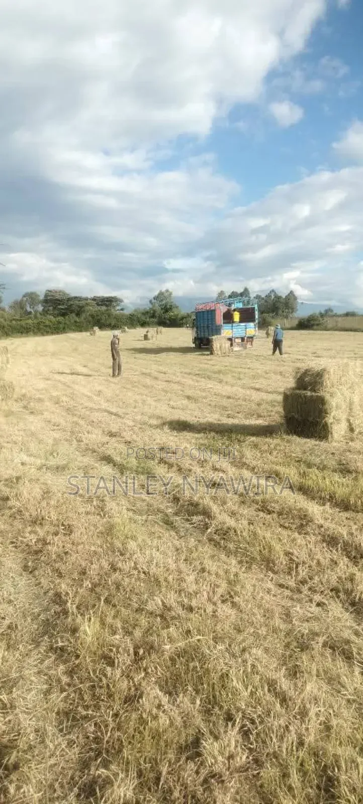 4 Acreas Nanyuki Sweet Water in Laikipia East