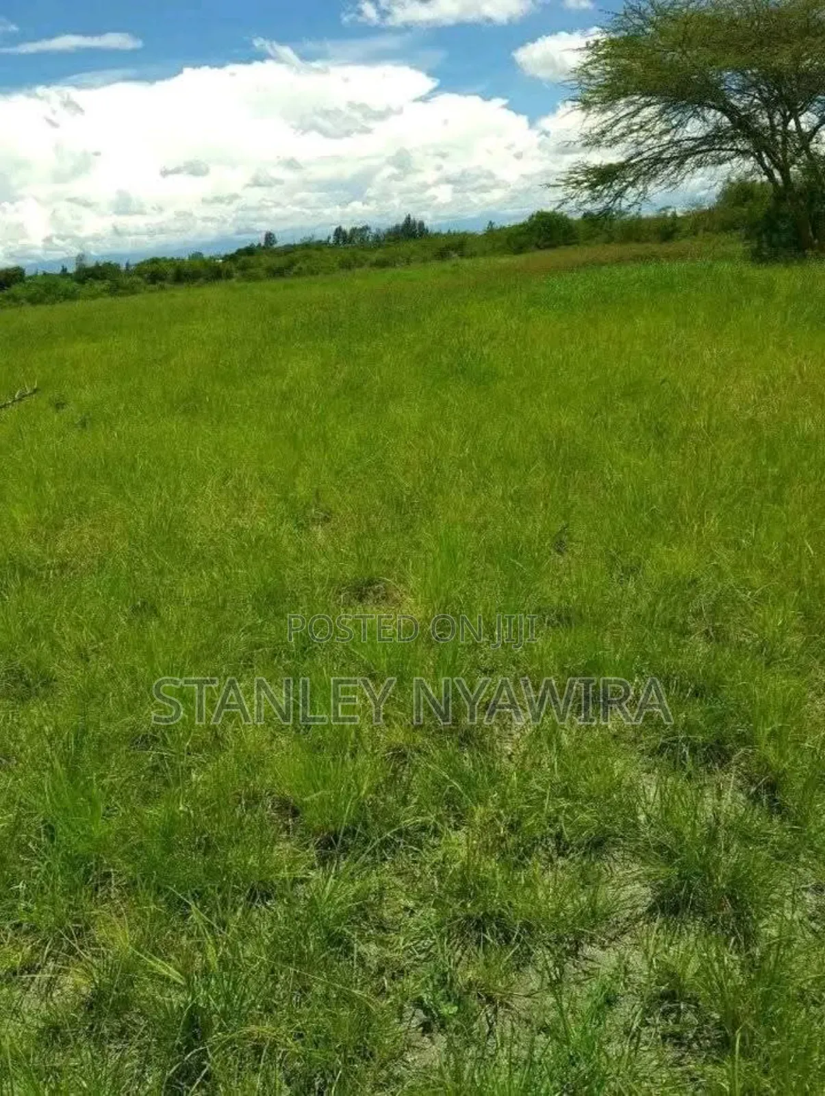 4 Acreas Nanyuki Sweet Water in Laikipia East