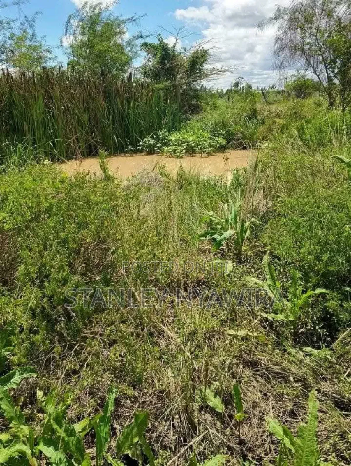 4 Acreas Nanyuki Sweet Water in Laikipia East