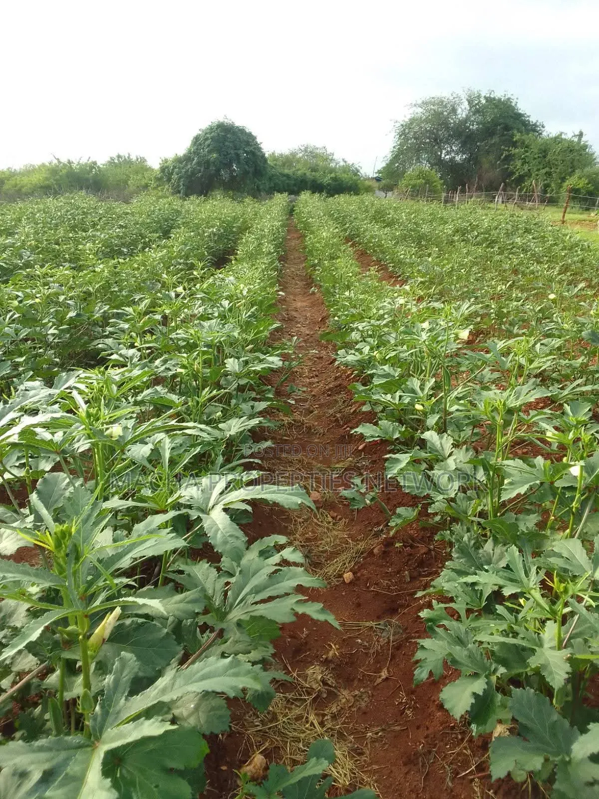 10 Acres For Sale Kibwezi -makueni Country in Makindu