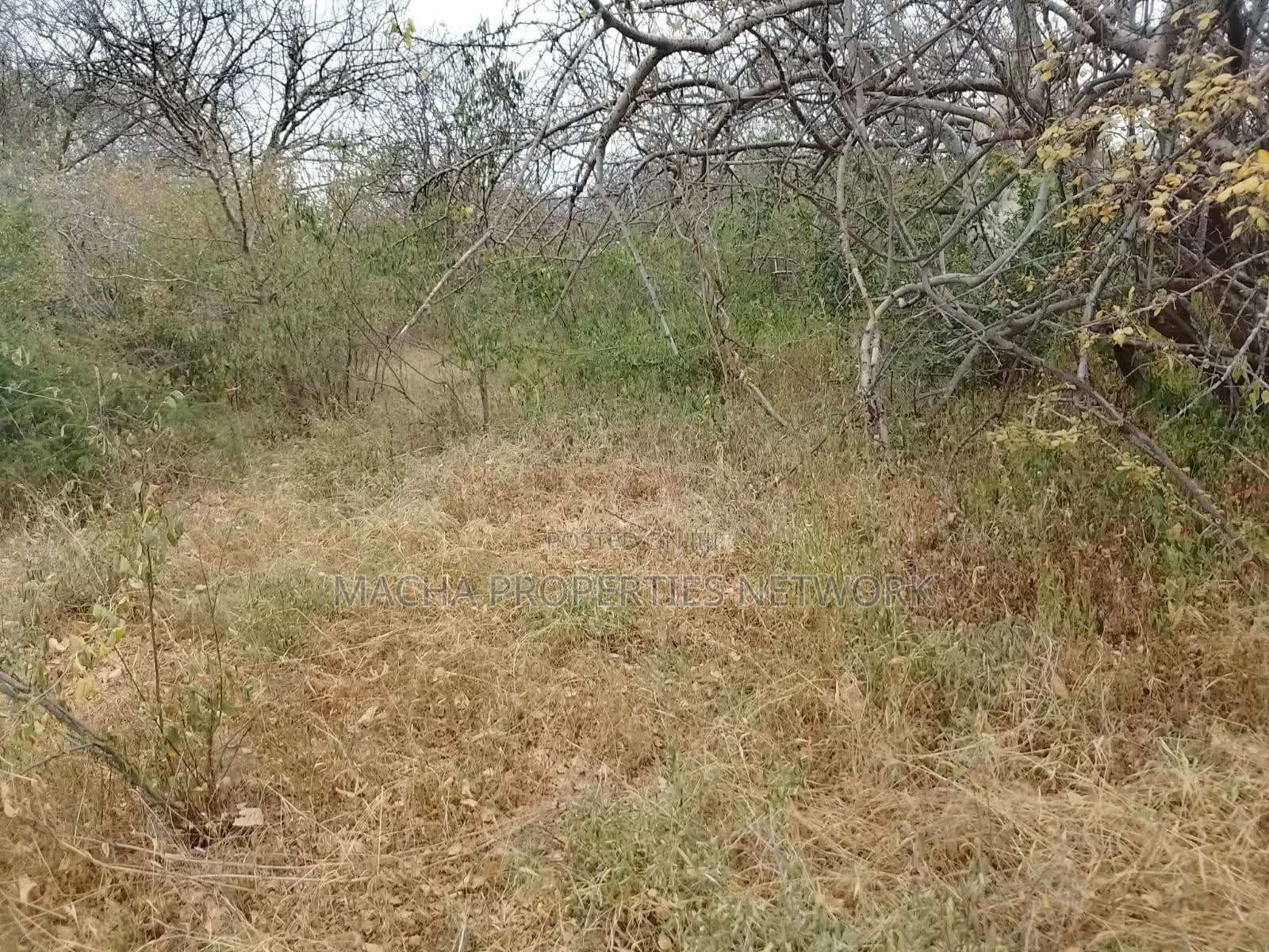 10 Acres For Sale Kibwezi -makueni Country in Makindu