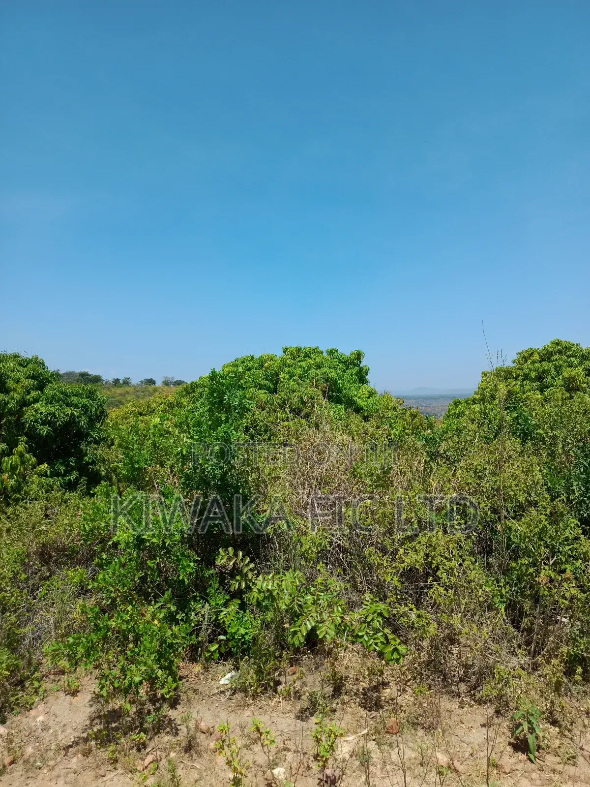 Five Acres Fronting Tarmack in Kambiti in Kambiti