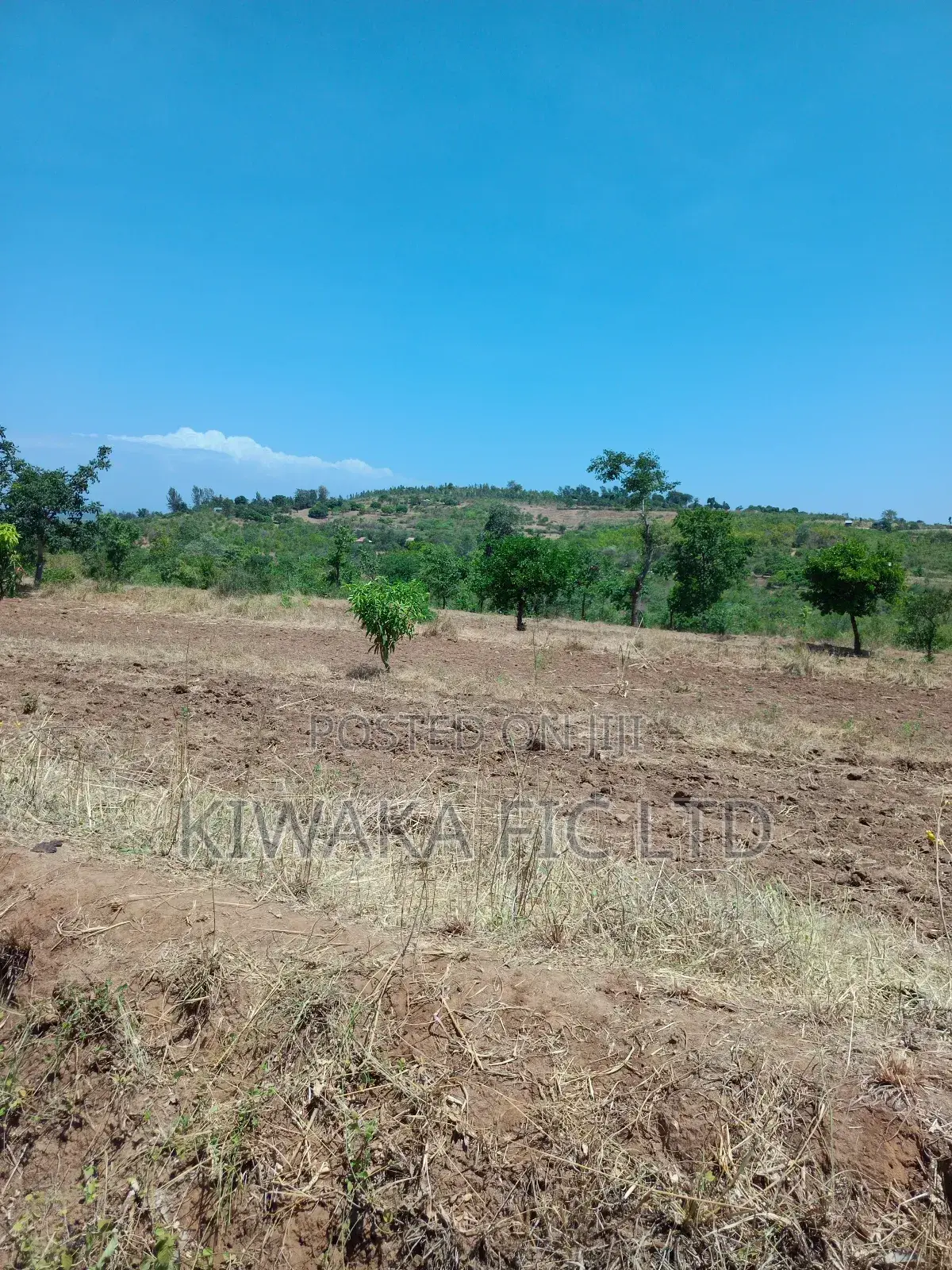Five Acres Fronting Tarmack in Kambiti in Kambiti