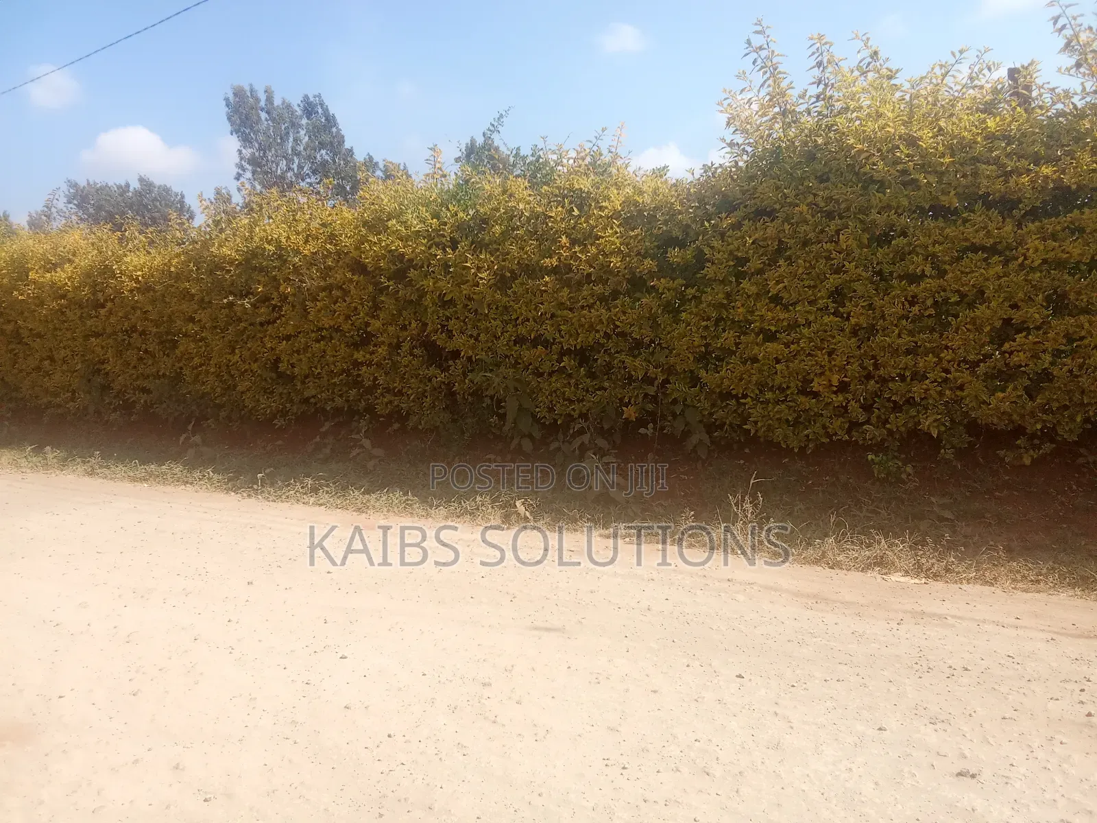 3/4 Acres at Ruaka Kigwaru Drive 45m in Ruaka