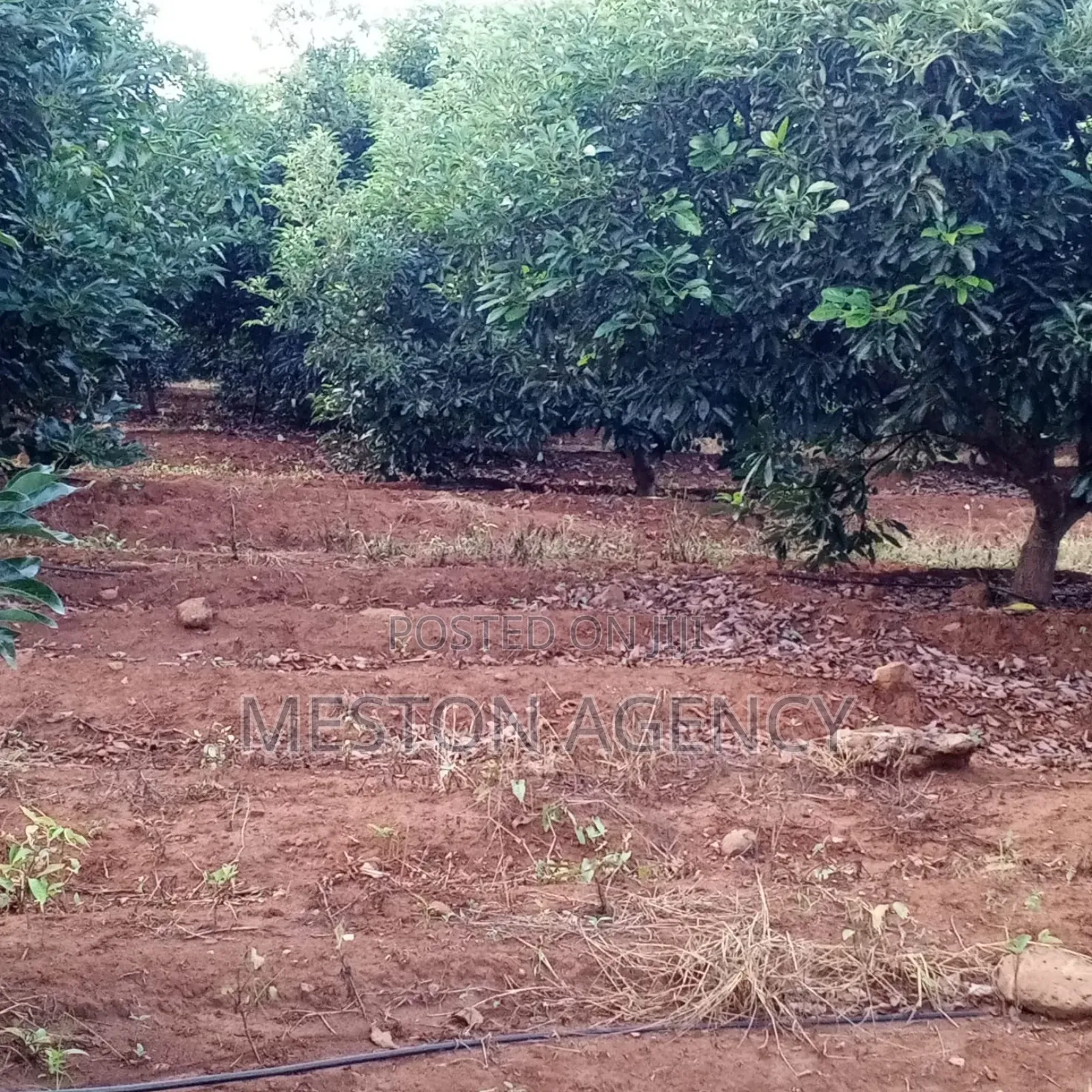 7.5 Acres Land for Sale in Mwea in Mwea