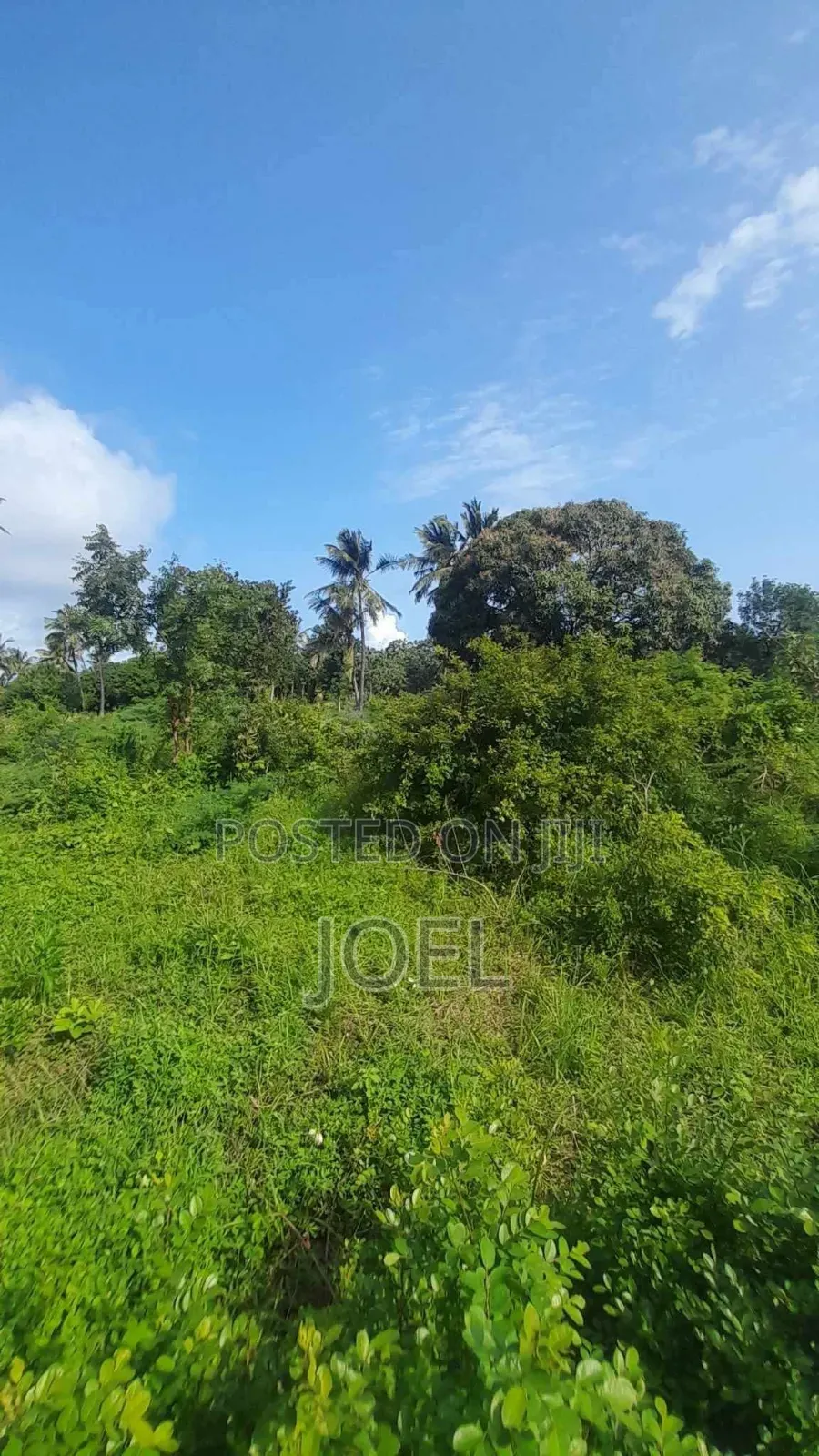 Malindi Farm 7 Acres Land in Malindi