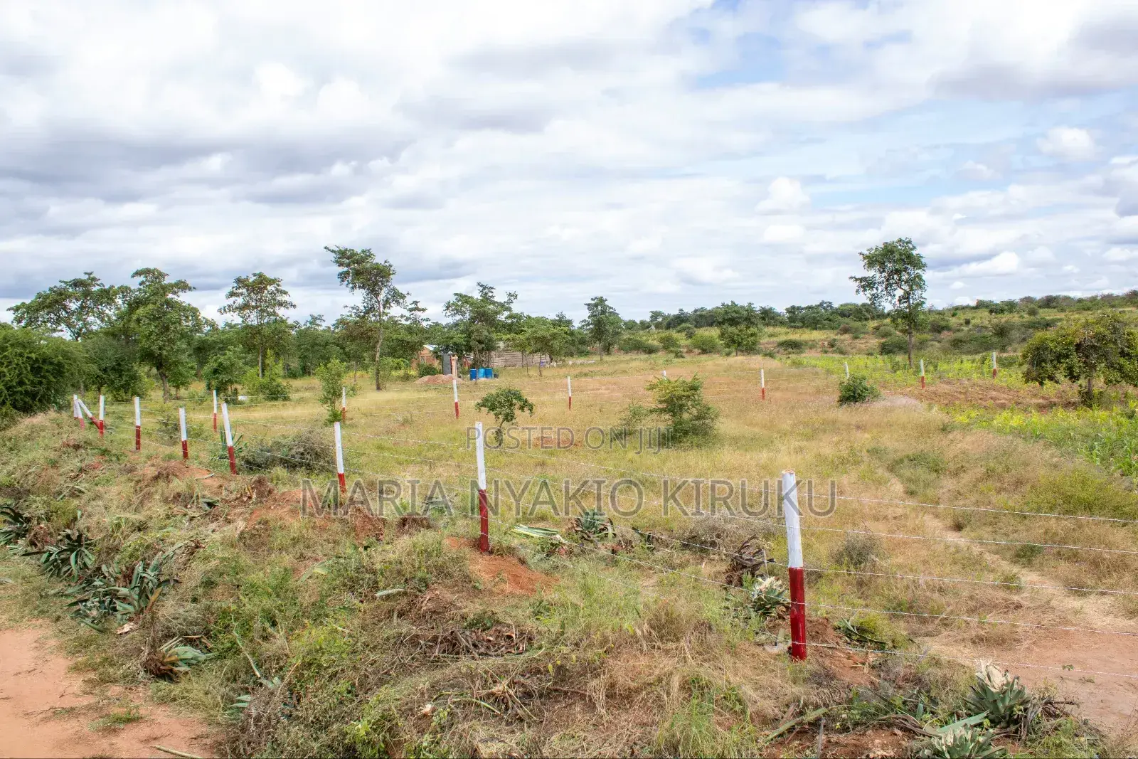 Premier Gardens Matuu Phase 3 50x100 Plots. in Matuu