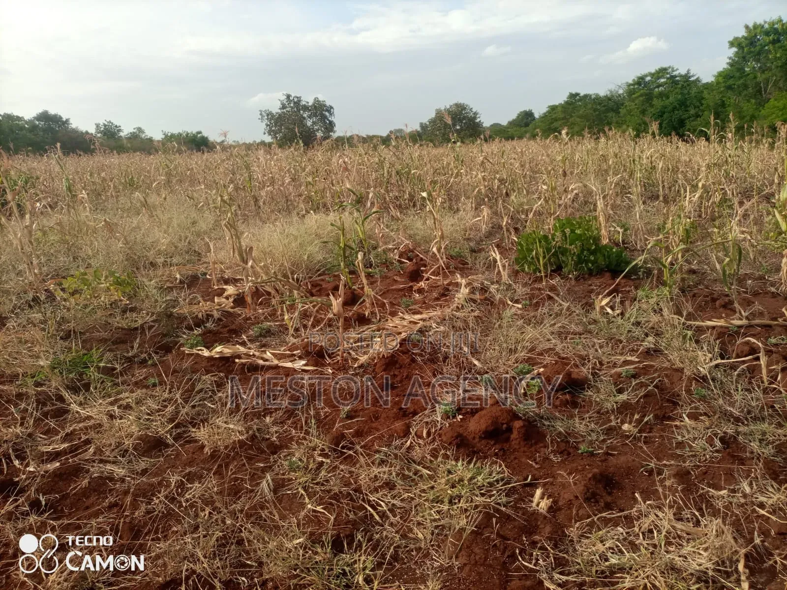 10 Acres Prime Land in Mwea Makutano in Makutano