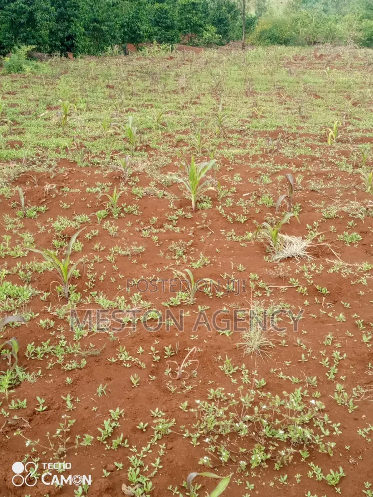 2 Acres Prime Land in Kirinyaga in Kariti