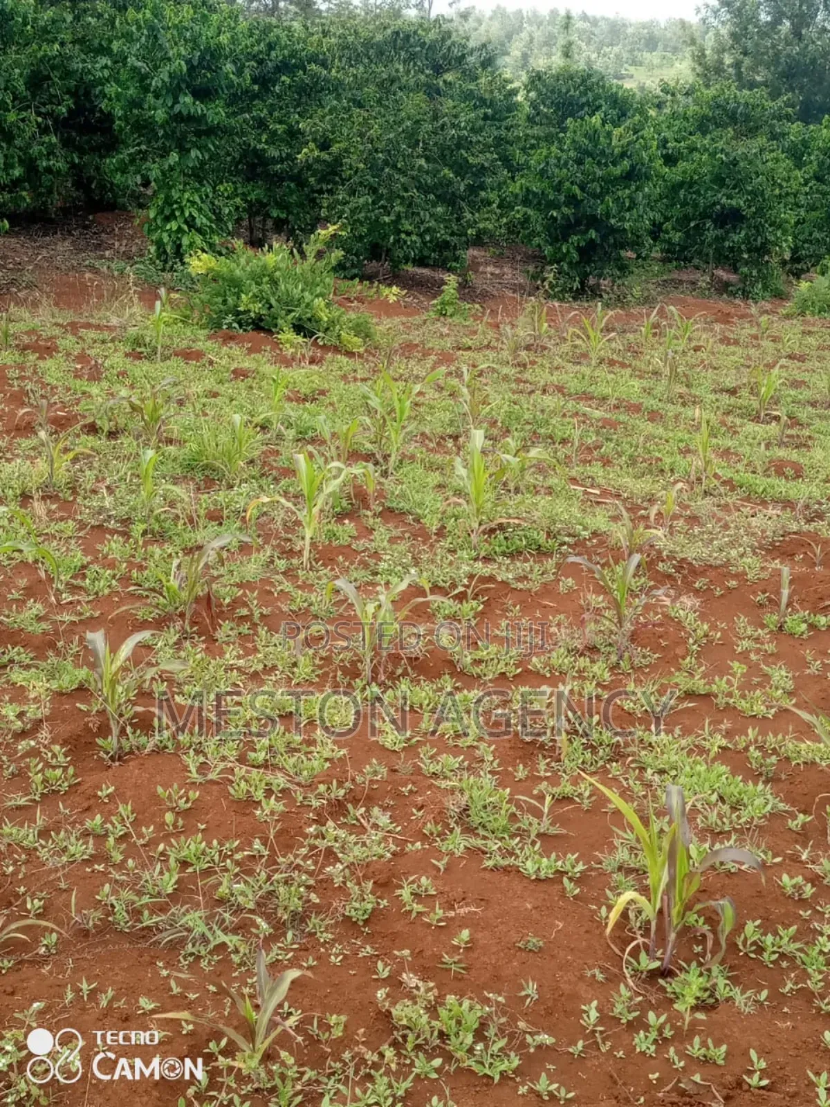 2 Acres Prime Land in Kirinyaga in Kariti