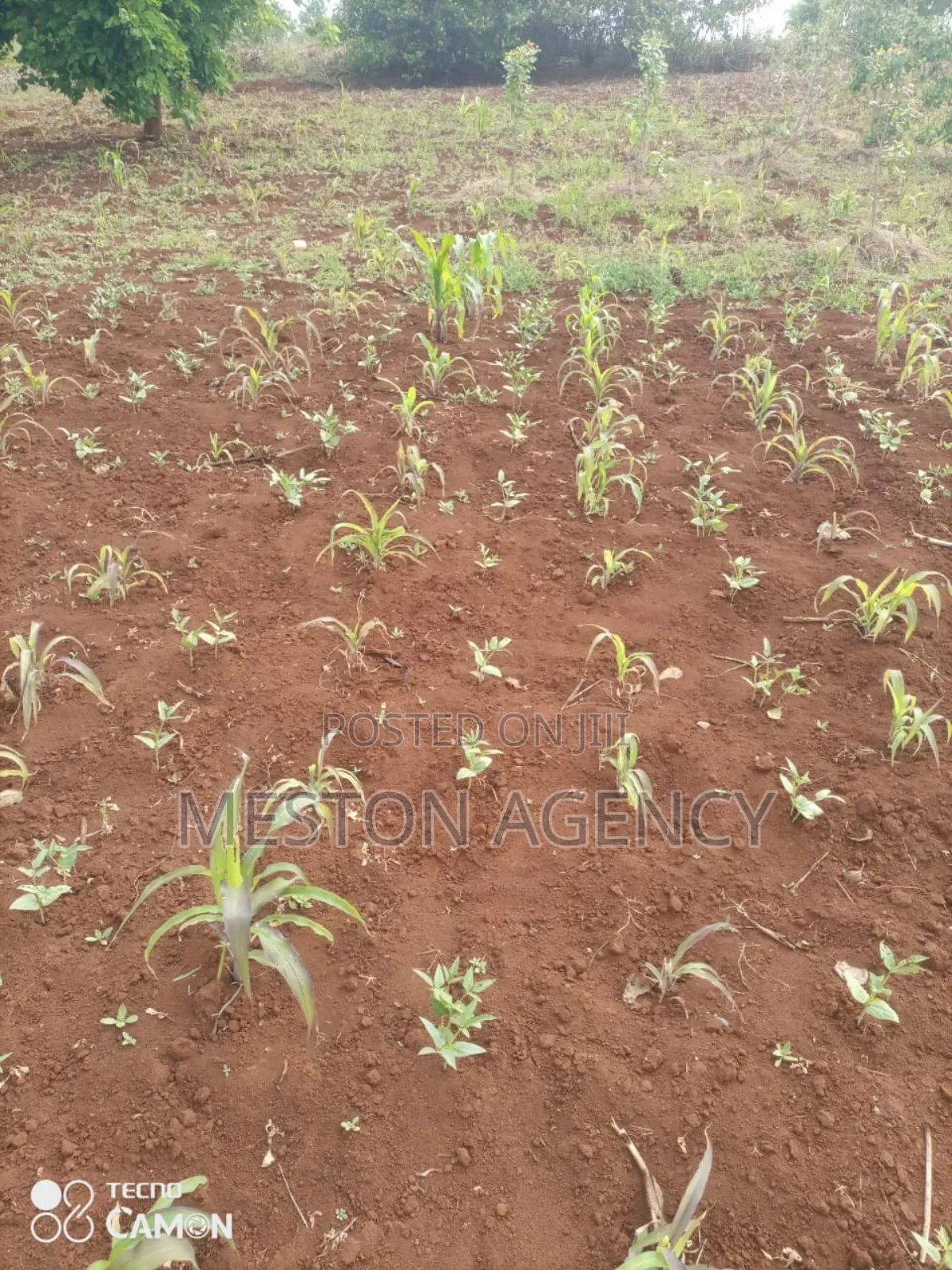 2 Acres Prime Land in Kirinyaga in Kariti