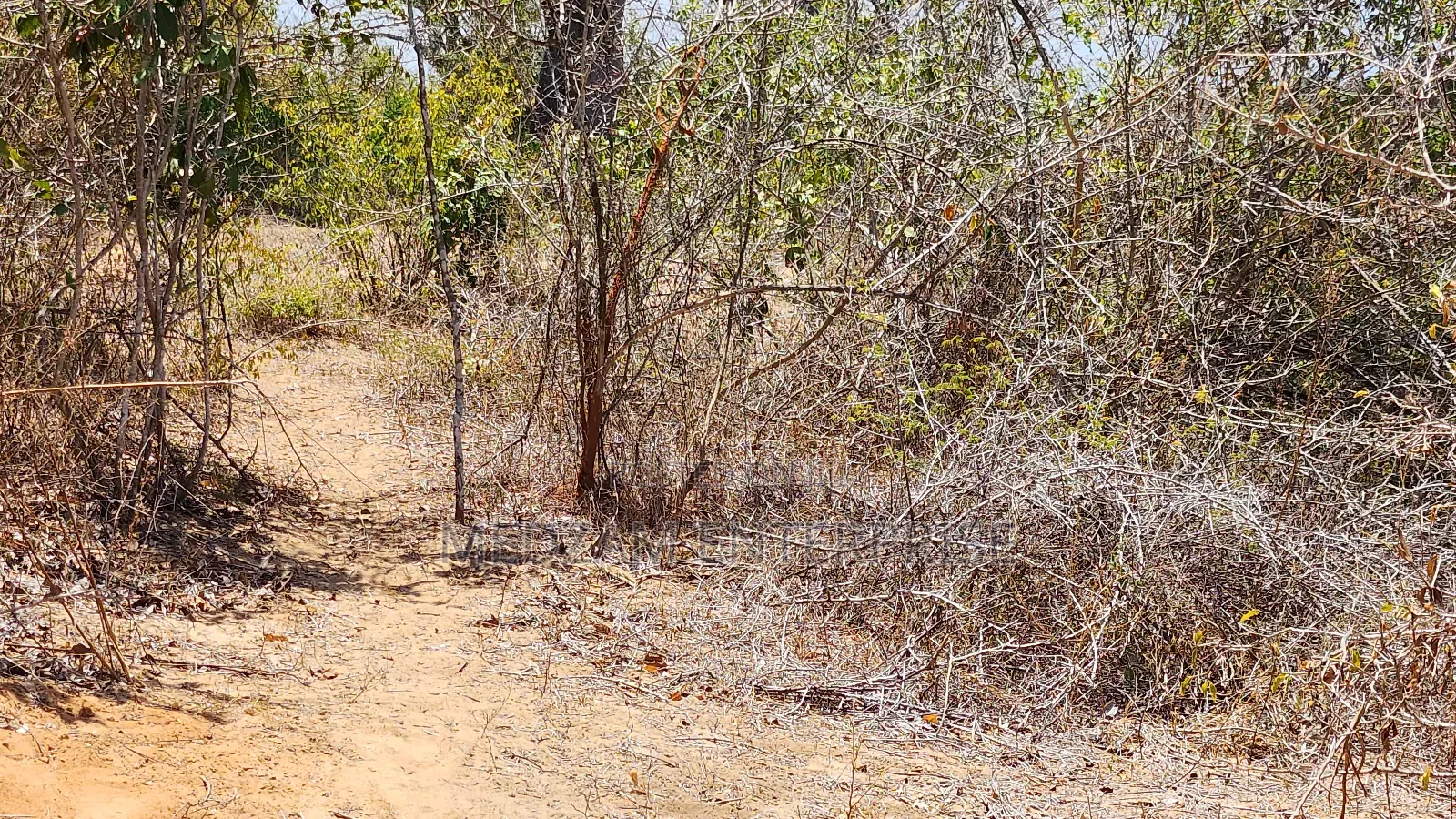 Plots for Sale (In Acres) at Kilifi Creek in Mnarani