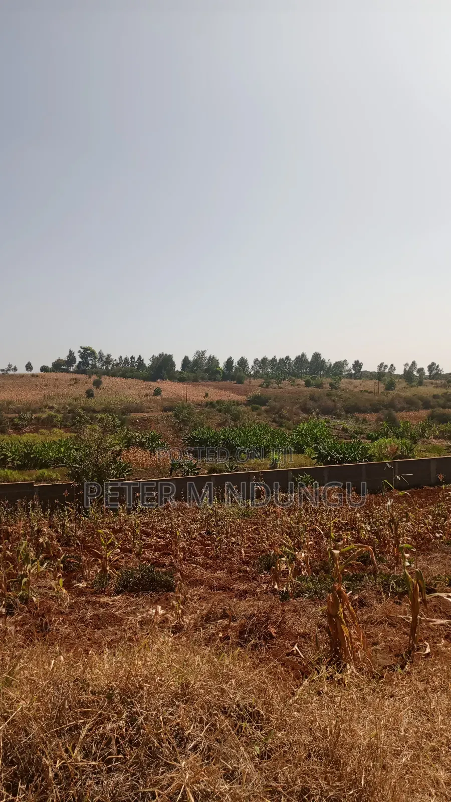 Prime Residential Plot, 50*100, Near Tatu City in Ruiru
