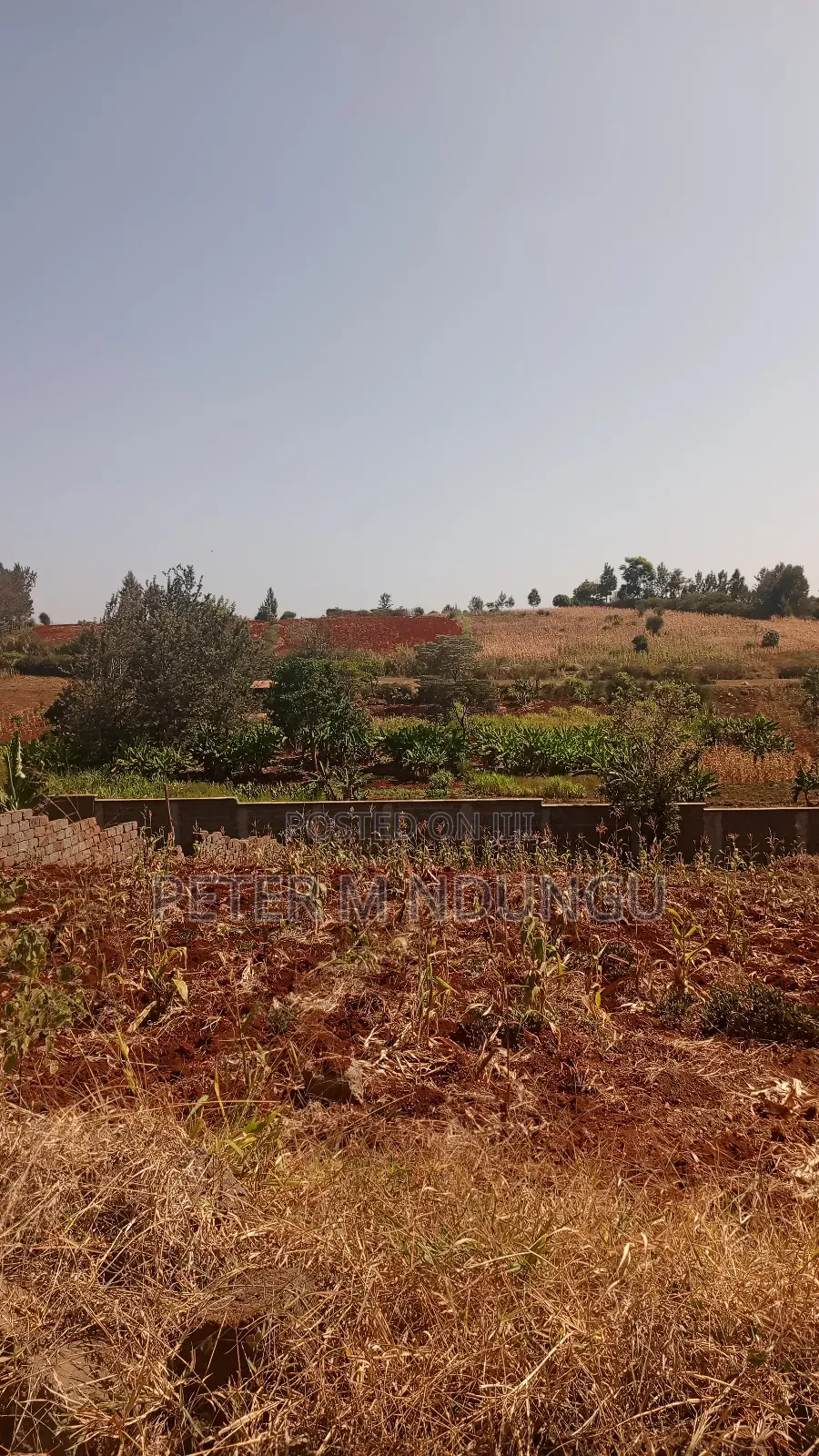 Prime Residential Plot, 50*100, Near Tatu City in Ruiru
