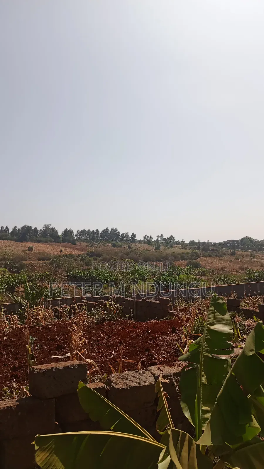 Prime Residential Plot, 50*100, Near Tatu City in Ruiru