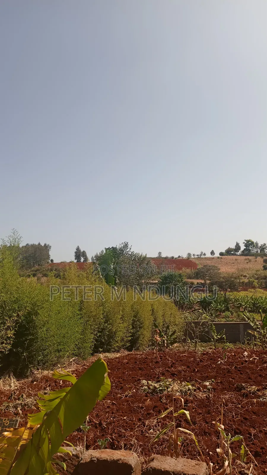 Prime Residential Plot, 50*100, Near Tatu City in Ruiru