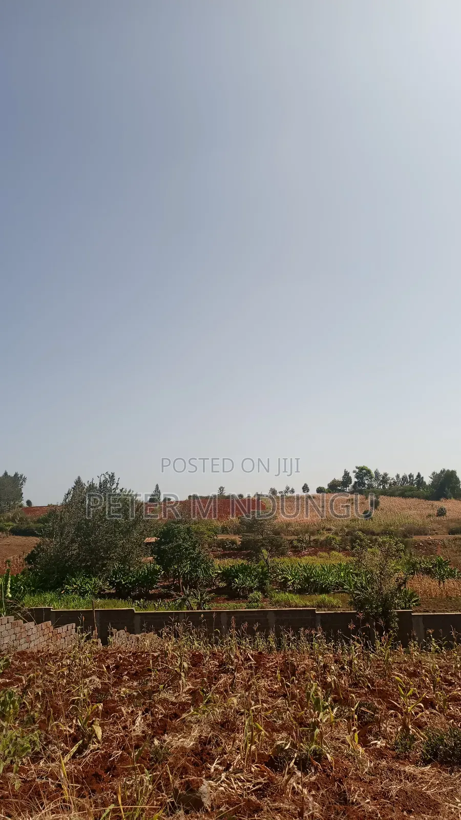 Prime Residential Plot, 50*100, Near Tatu City in Ruiru
