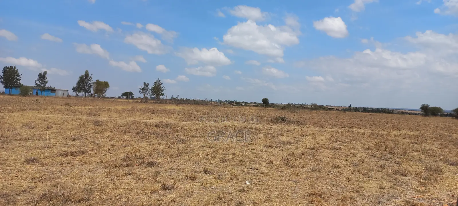 Prime 50x100 Plot in Konza in Malili