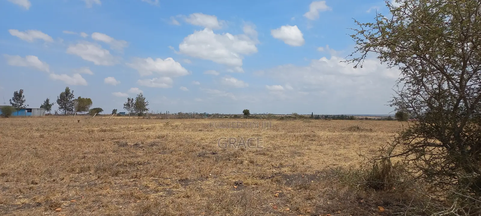 Prime 50x100 Plot in Konza in Malili