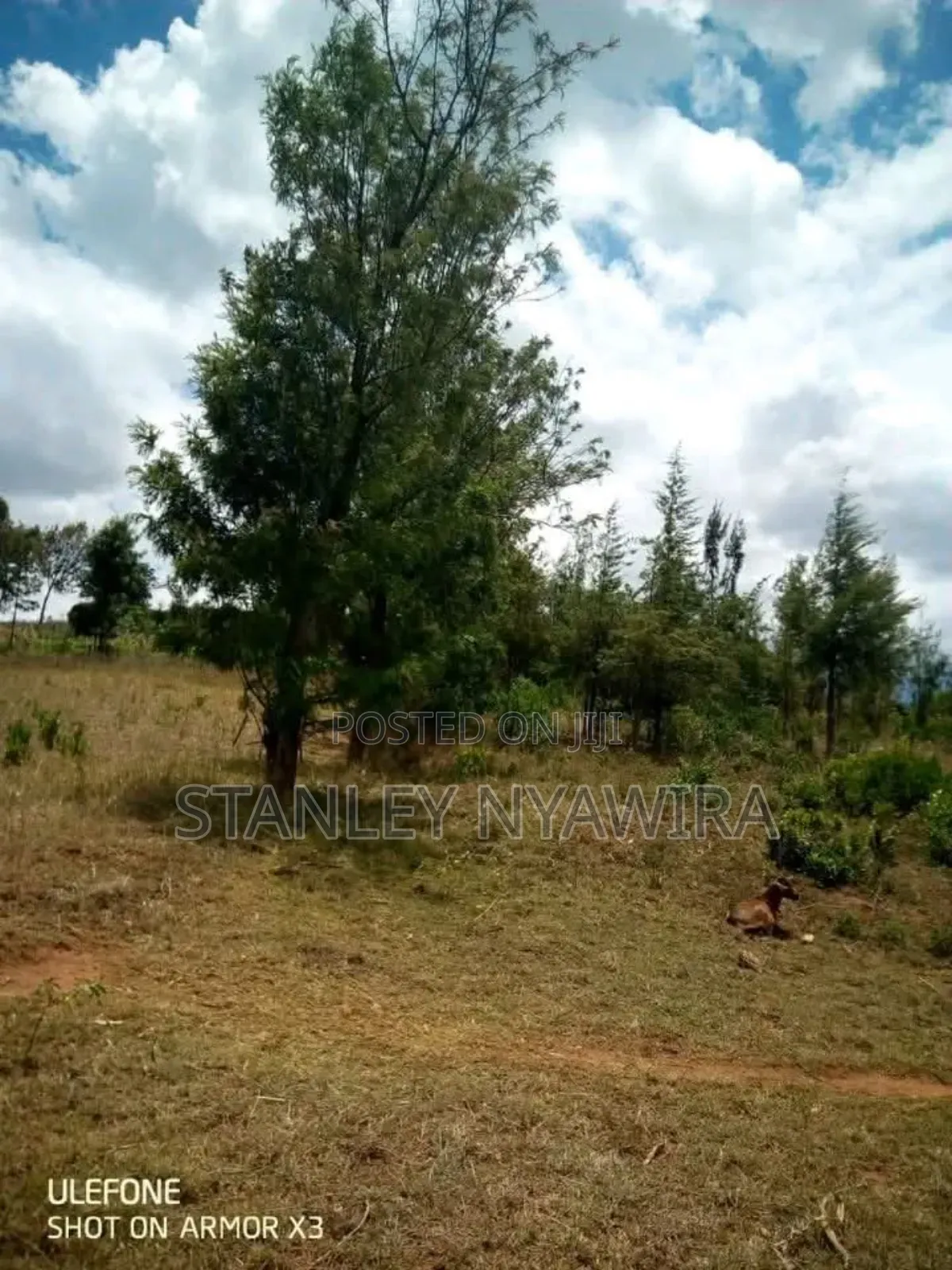 1.Acrea of Land Nanyuki Daiga in Laikipia East