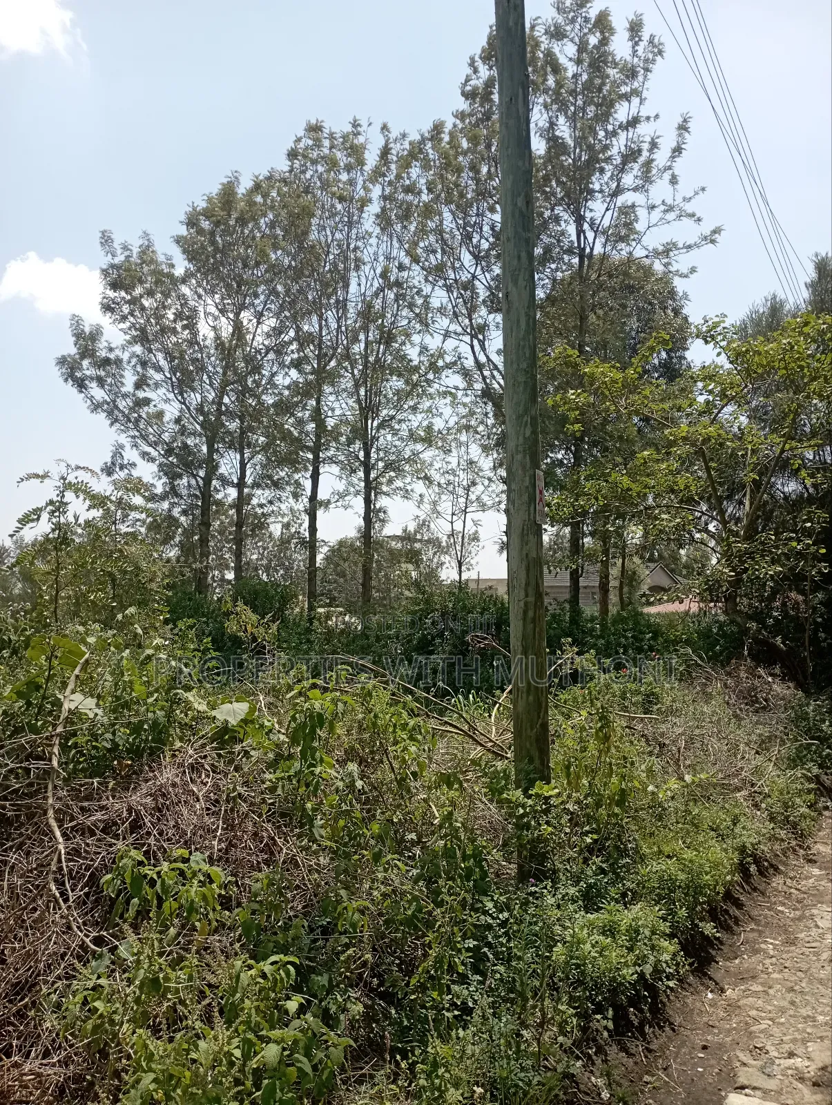100×100 Plot for Sale in Matasia,Ngong. in Matasia