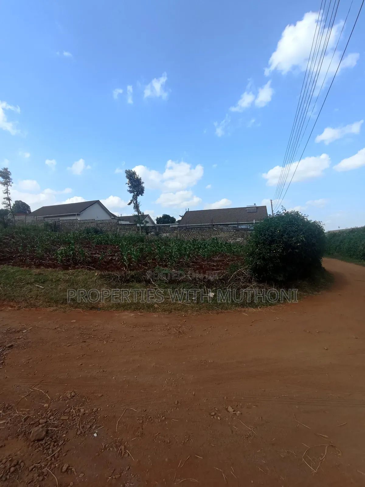 50×100 Plot for Sale in Ngong. in Ngong CBD