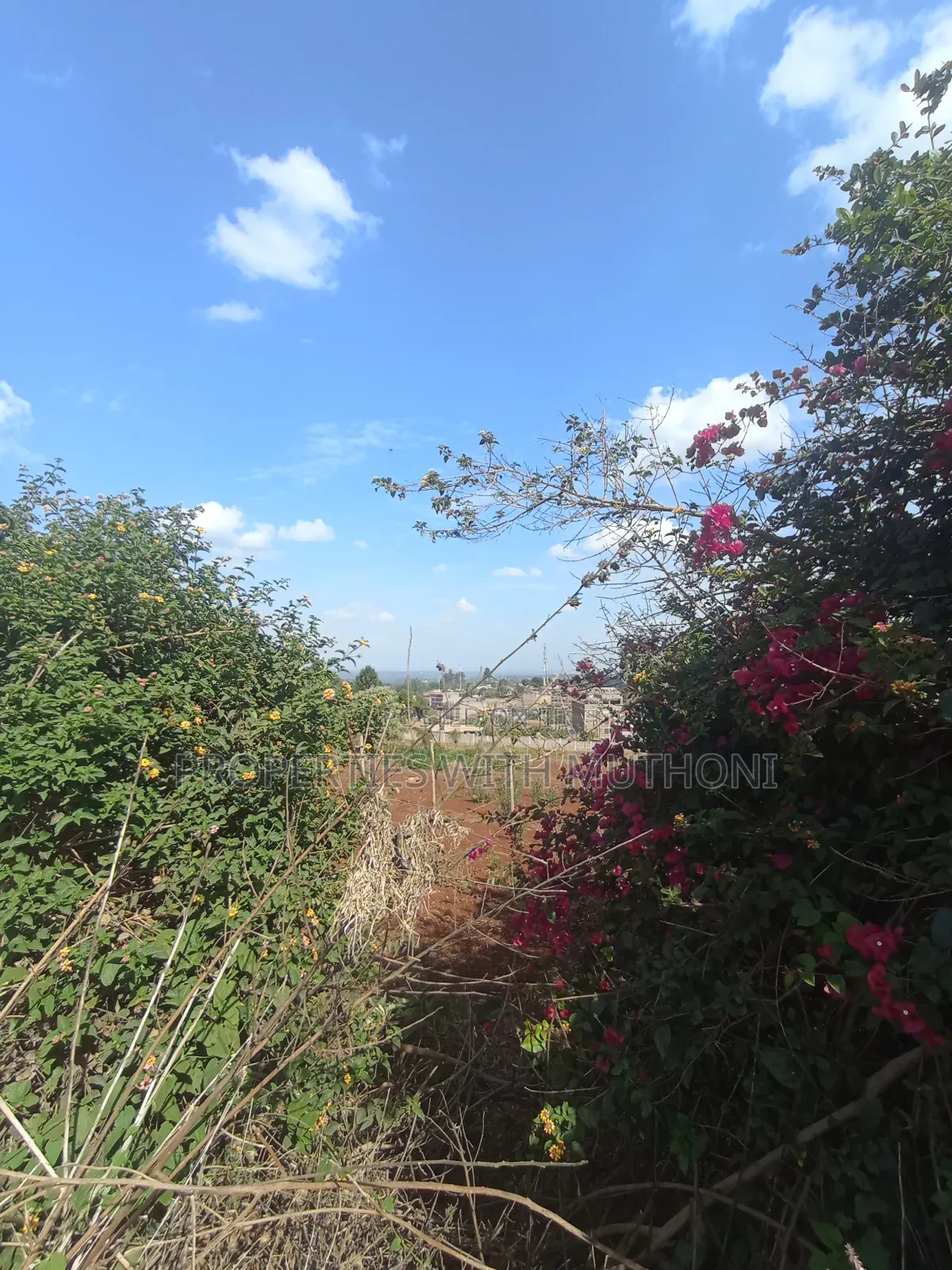 50×100 Plot for Sale in Ngong. in Ngong CBD
