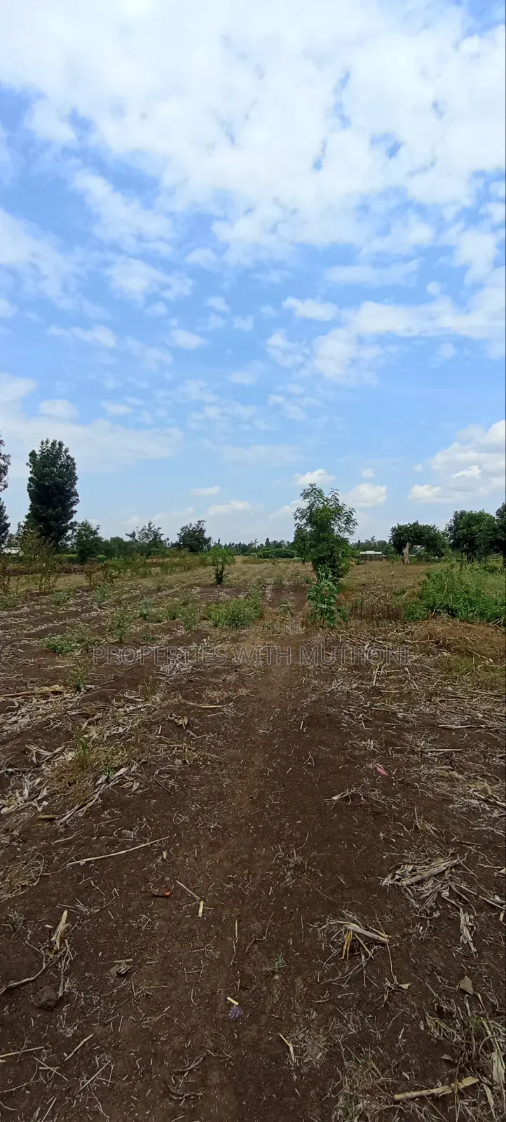 3/4 Acre for Sale in Sagana. in Kiine