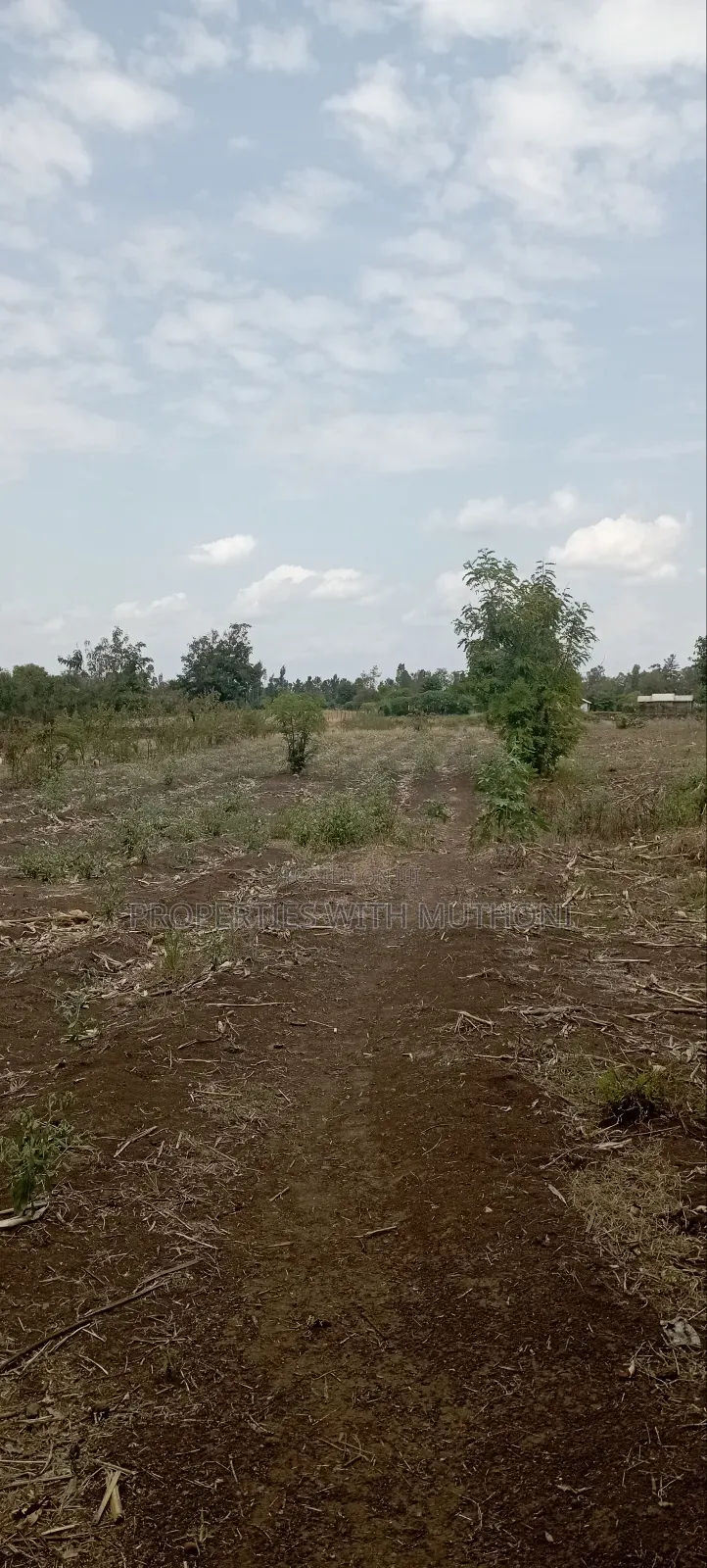 3/4 Acre for Sale in Sagana. in Kiine