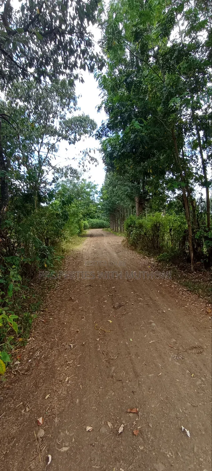 3/4 Acre for Sale in Sagana. in Kiine
