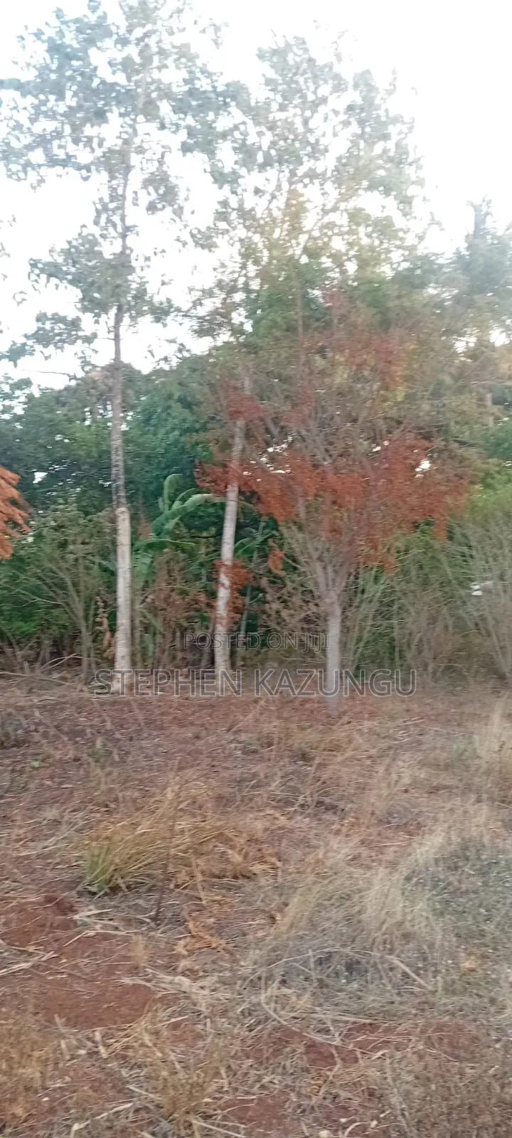 Golden 1/4 Acre Plot at Kinondo 100 Metres From the the Main Road. in Ukunda