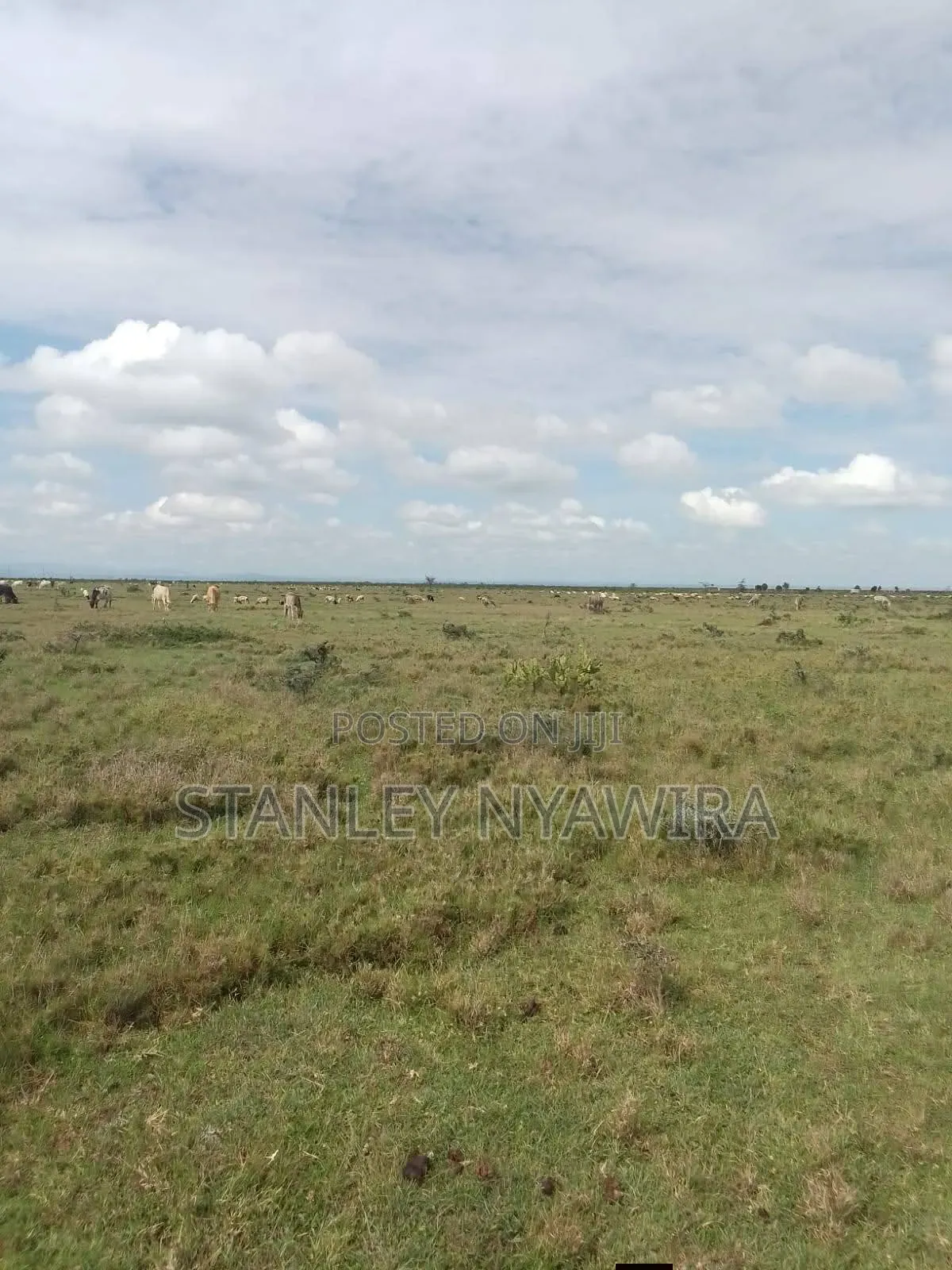 5 Acreas Nanyuki Mutirithia in Nanyuki