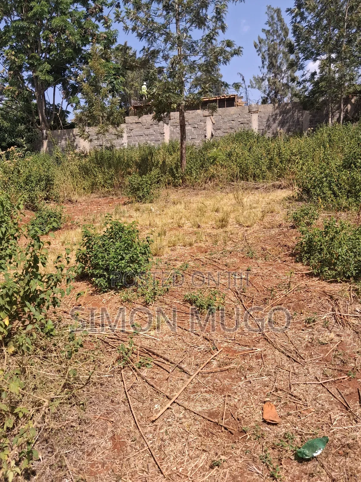 Ridgeways Kiambu Rd Prime Fully Serviced Well Drained Red Soil 1/2 Ac in Ridgeways