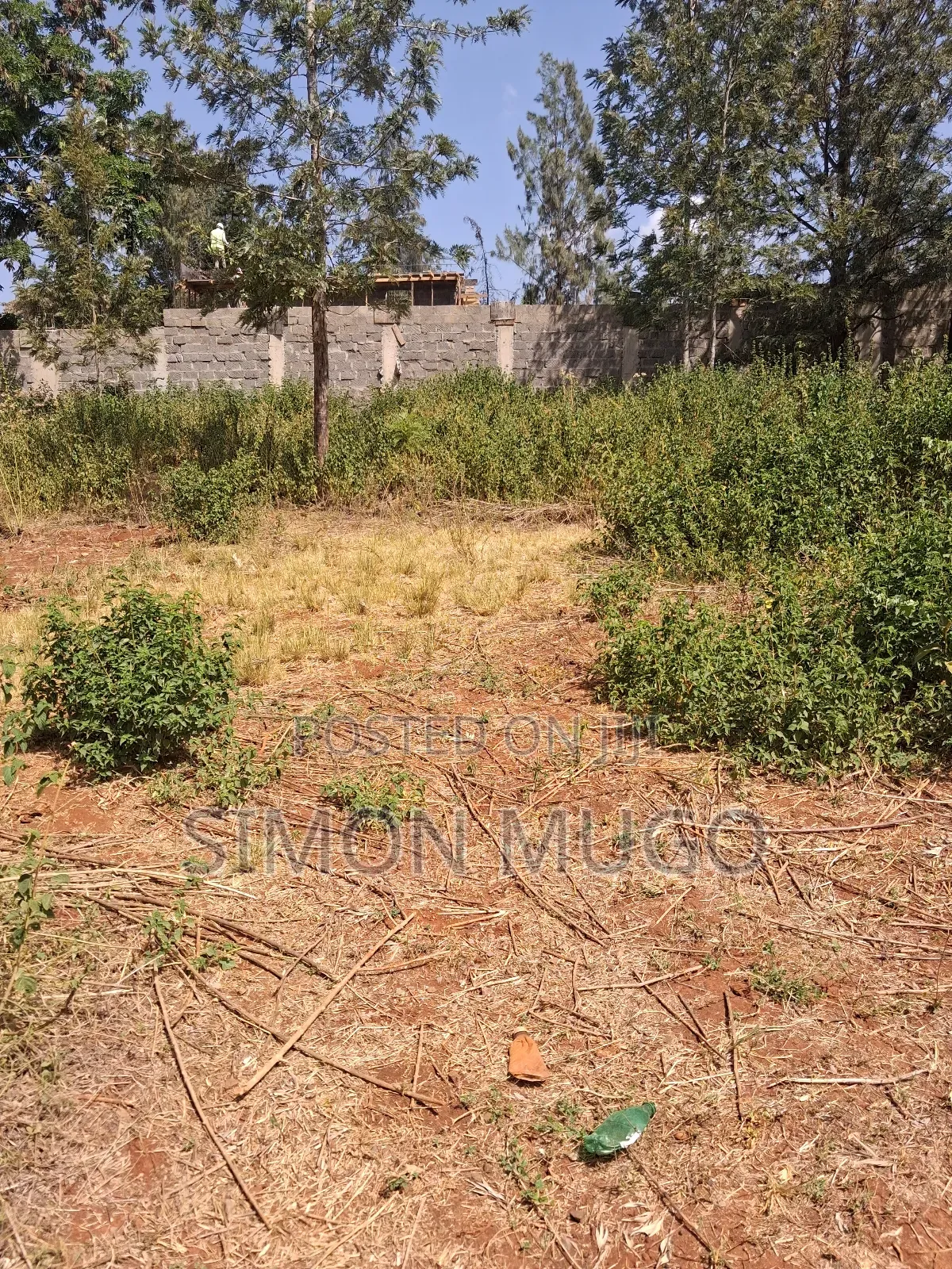 Ridgeways Kiambu Rd Prime Fully Serviced Well Drained Red Soil 1/2 Ac in Ridgeways