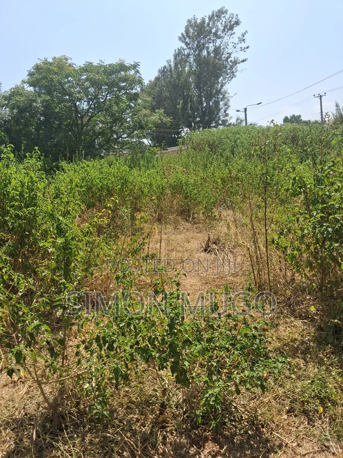 Ridgeways Kiambu Rd Prime Fully Serviced Well Drained Red Soil 1/2 Ac in Ridgeways