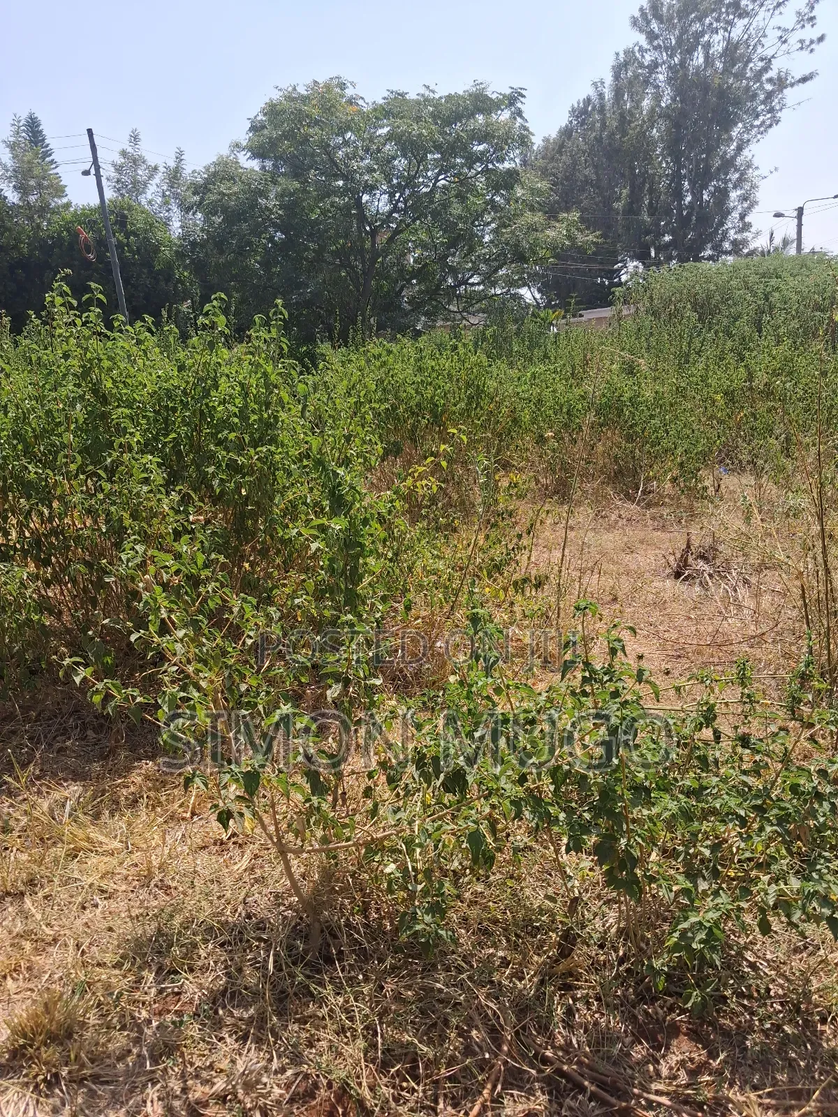 Ridgeways Kiambu Rd Prime Fully Serviced Well Drained Red Soil 1/2 Ac in Ridgeways