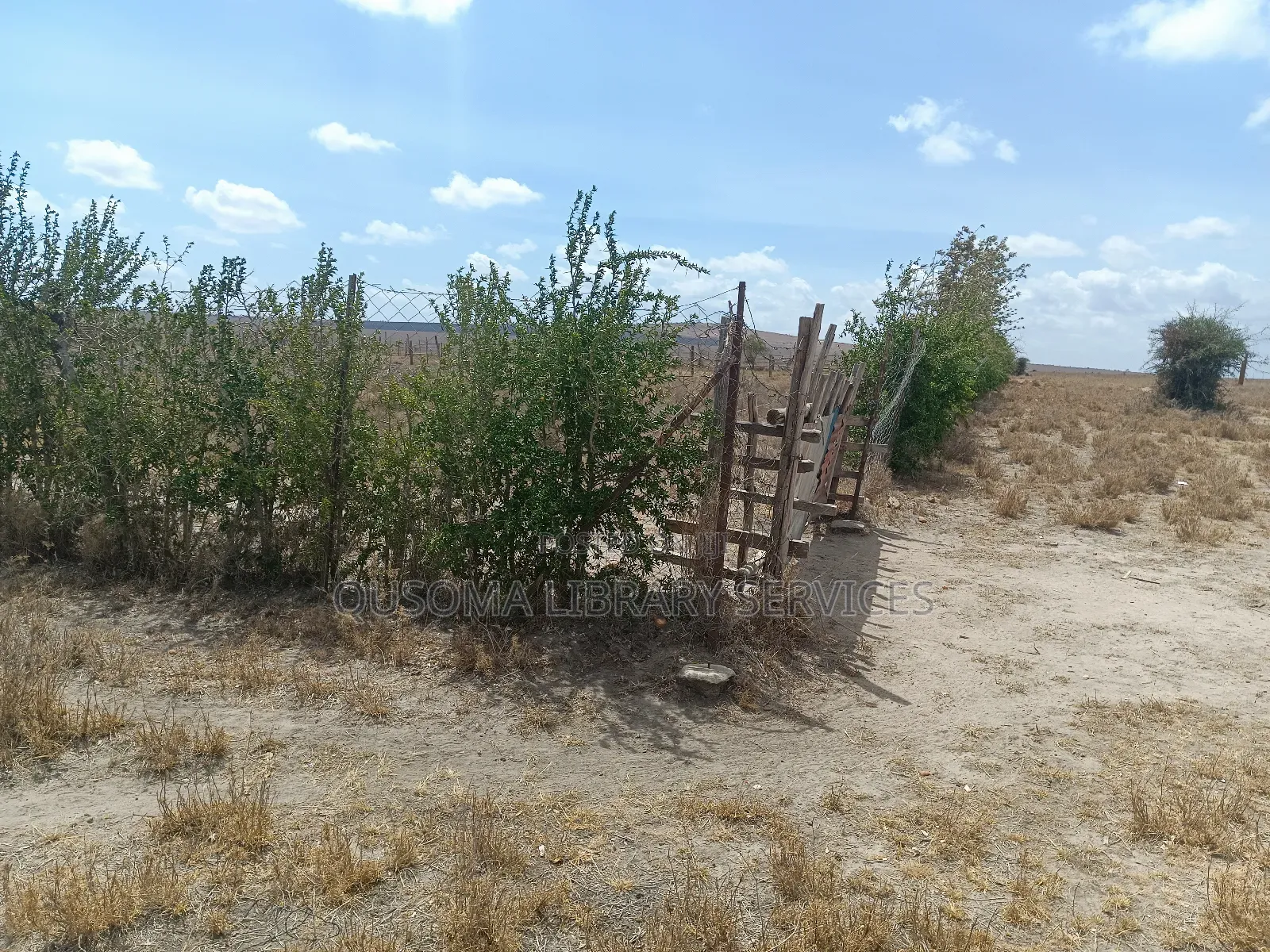 Prime 2-Acre Haven: 3-Bed Home + Borehole – Konza Boom! in Malili