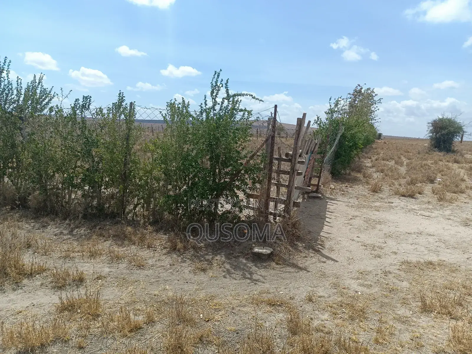 Prime 2-Acre Haven: 3-Bed Home + Borehole – Konza Boom! in Malili