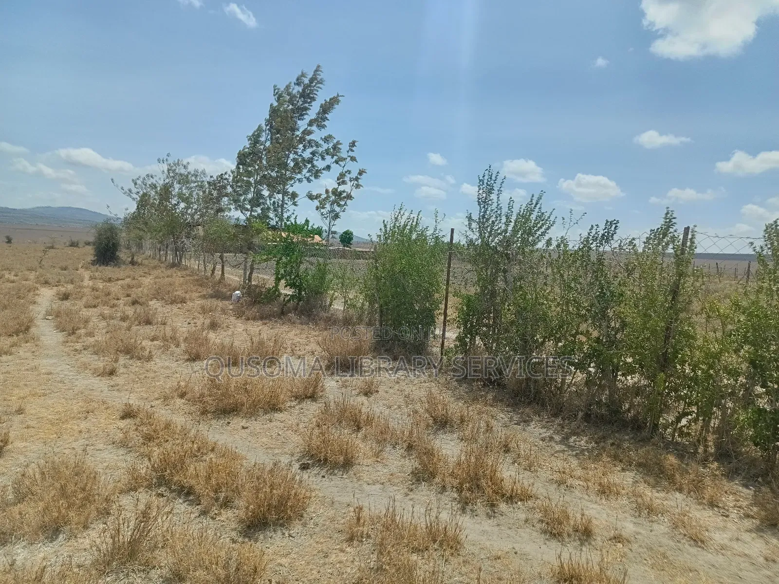 Prime 2-Acre Haven: 3-Bed Home + Borehole – Konza Boom! in Malili