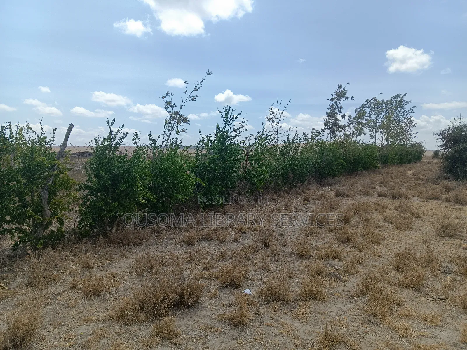 Prime 2-Acre Haven: 3-Bed Home + Borehole – Konza Boom! in Malili
