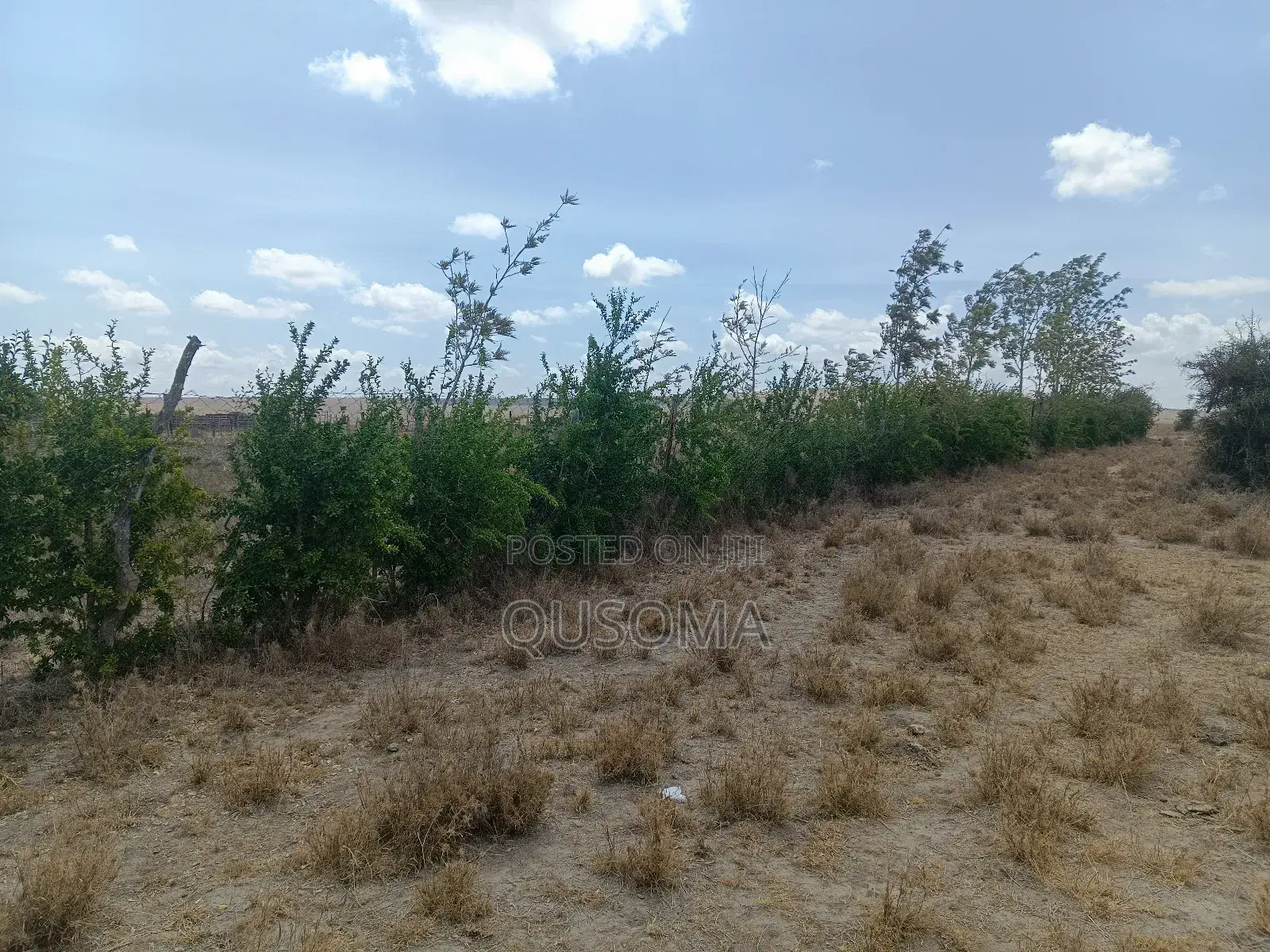 Prime 2-Acre Haven: 3-Bed Home + Borehole – Konza Boom! in Malili